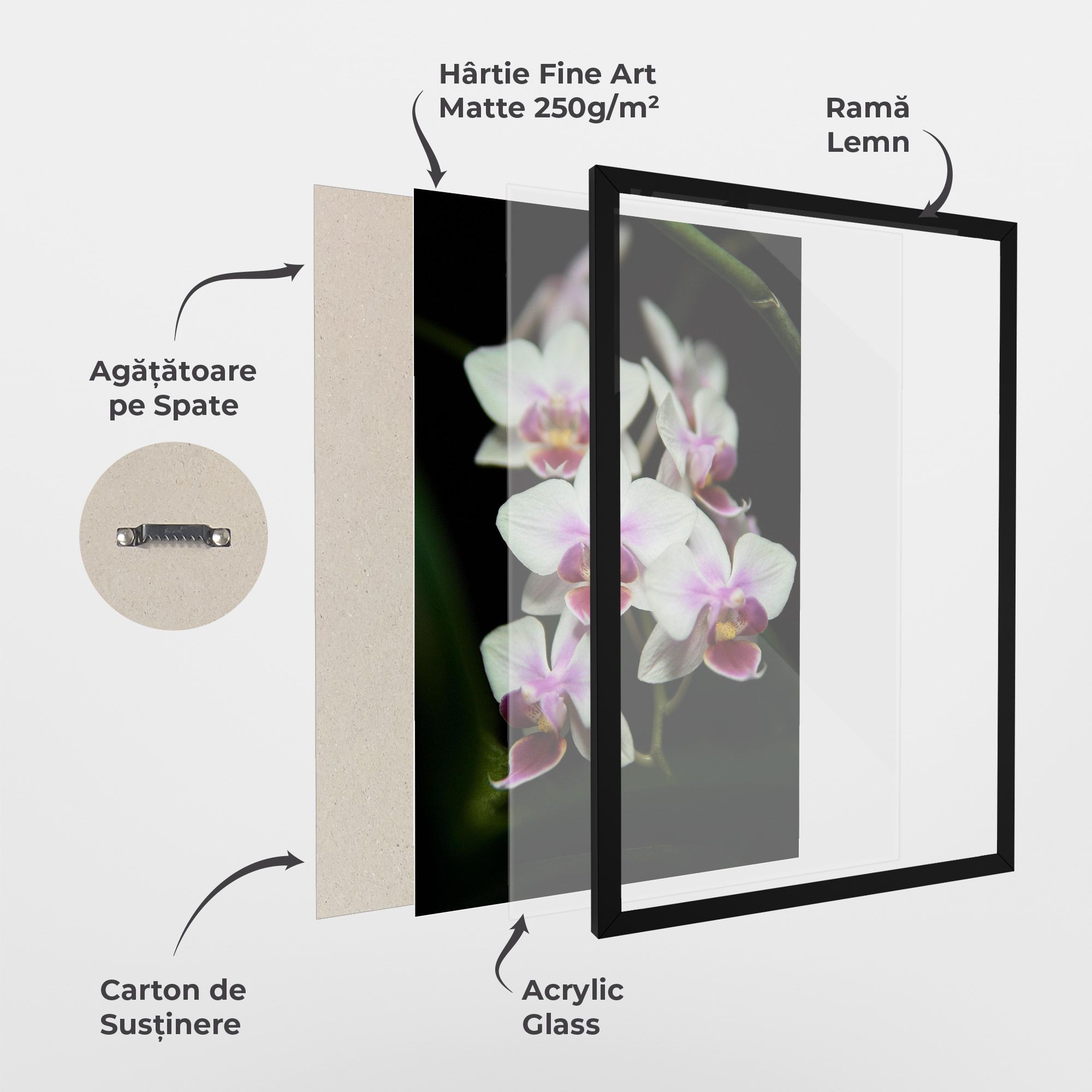 Wild White Purple Orchid mockup 1