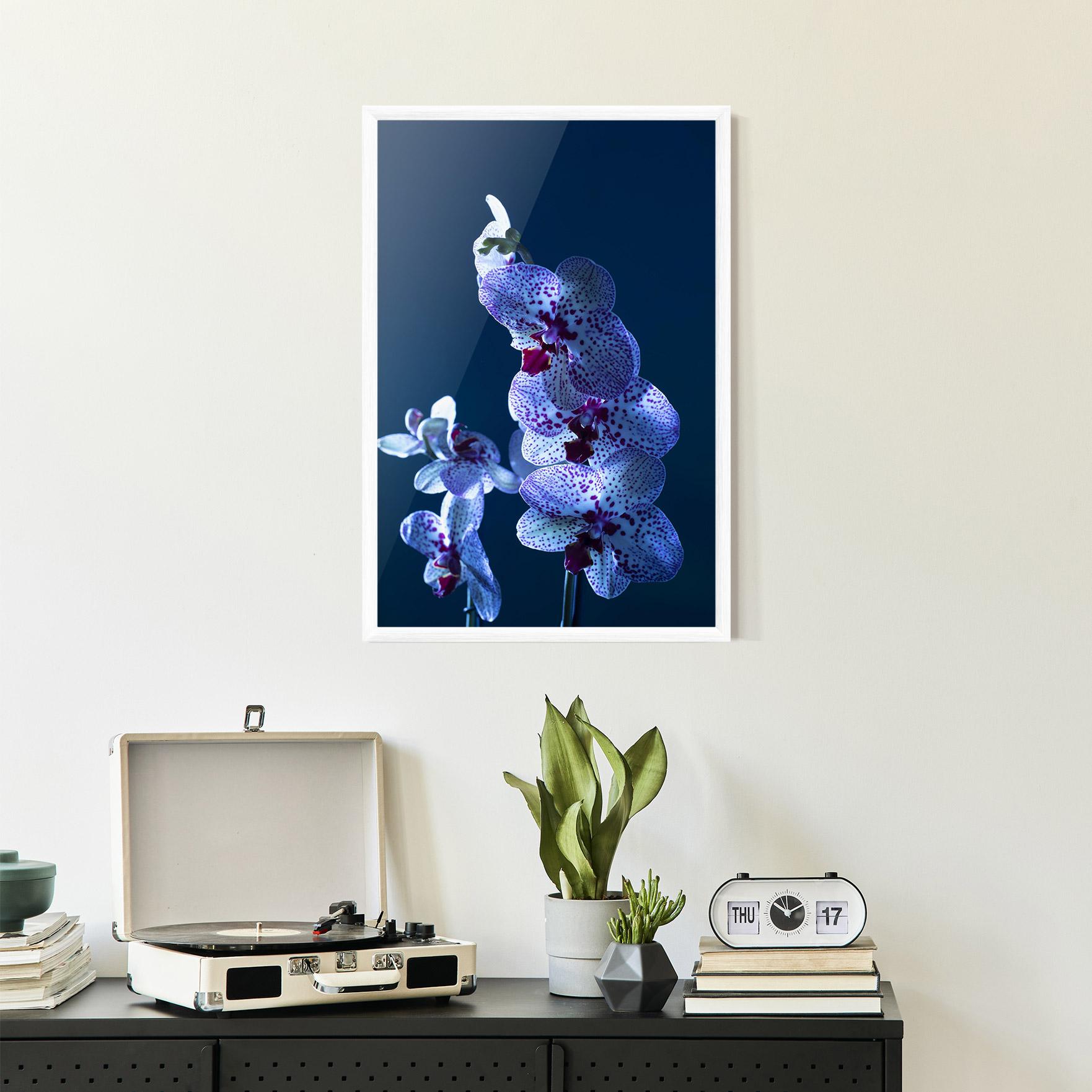 Poster Înrămat Blue Light Orchid mockup 2