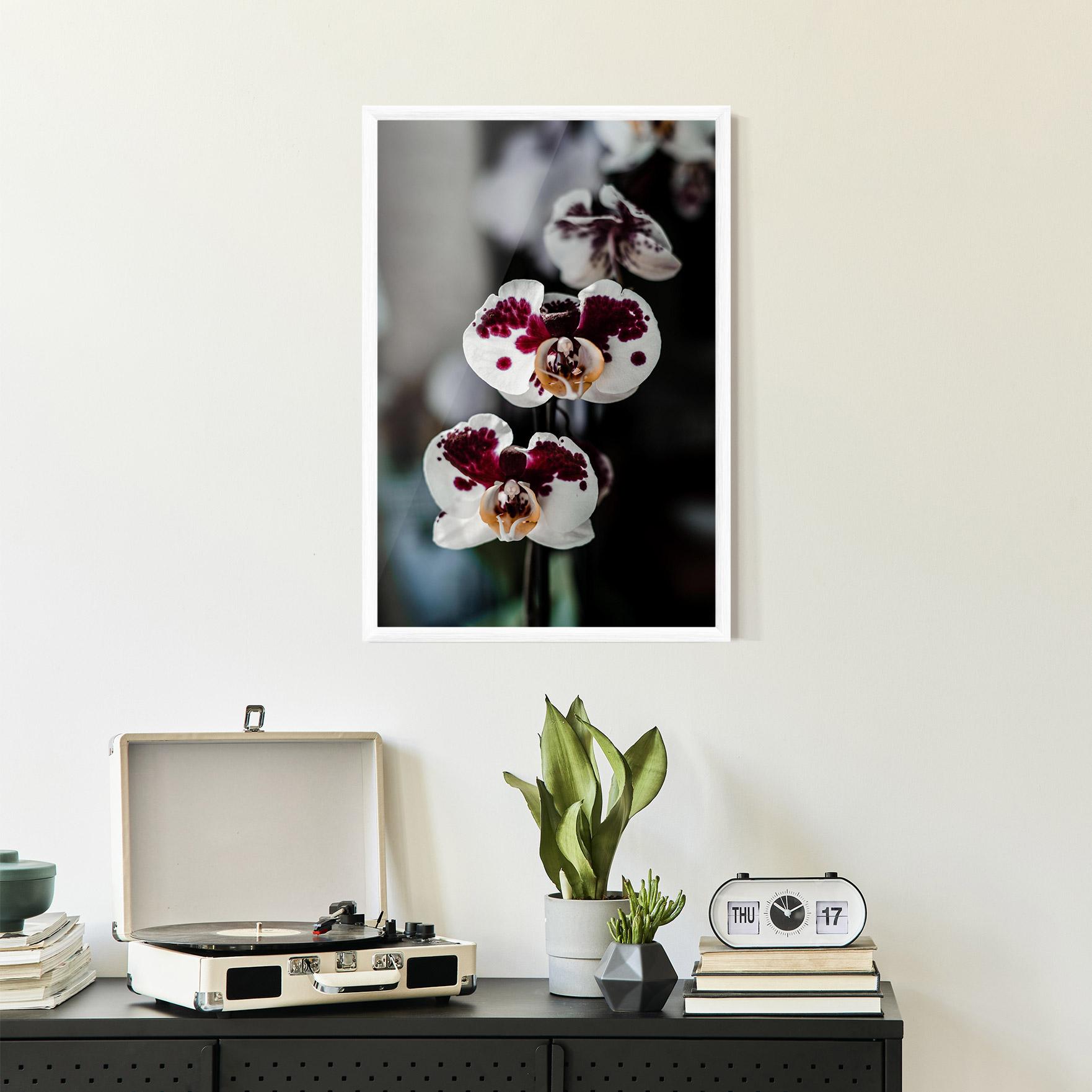 Poster Înrămat Dark Purple Orchid mockup 2