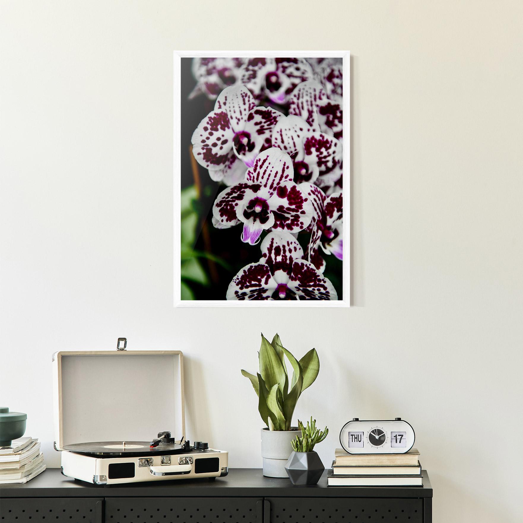 Poster Înrămat Dark Purple Orchids mockup 2