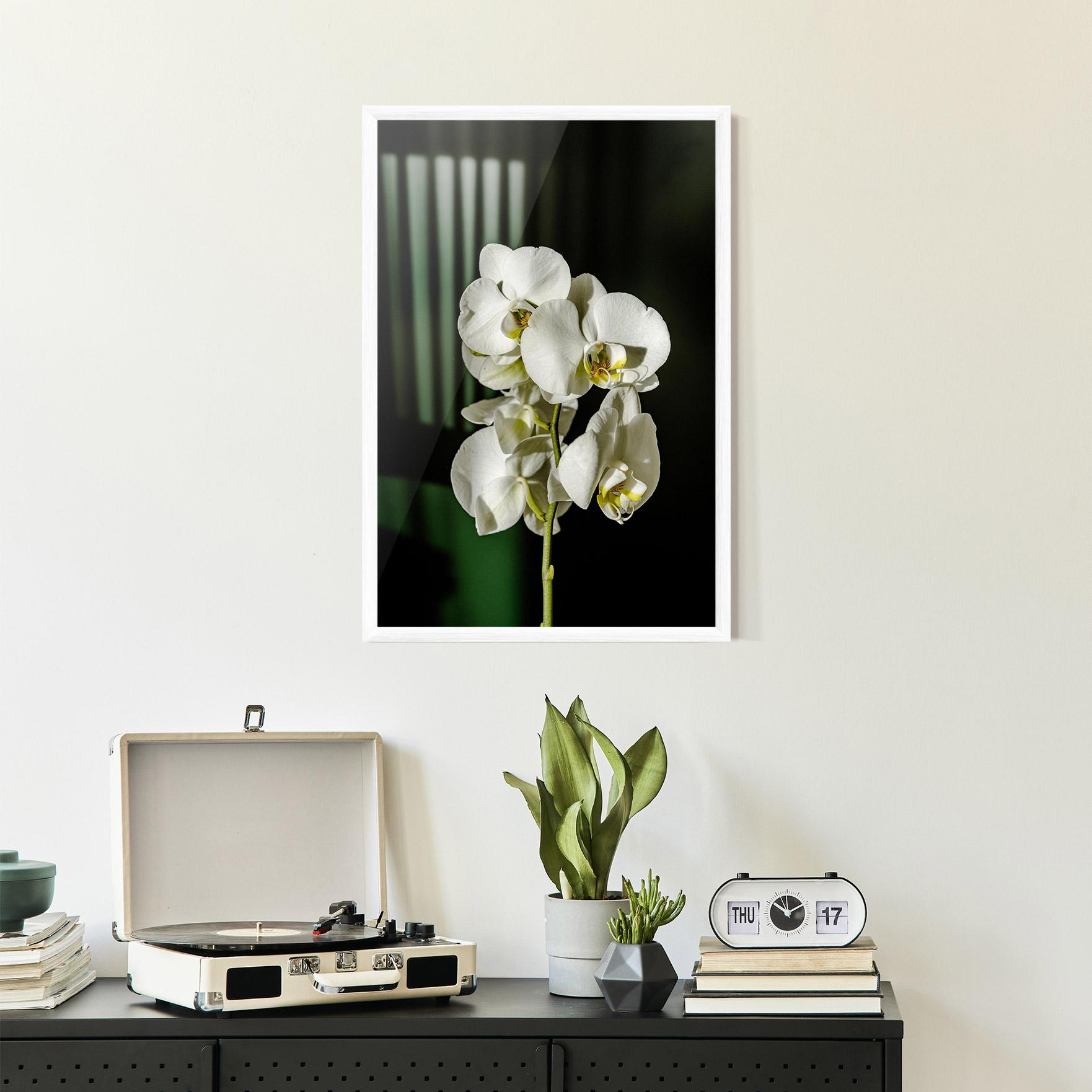 Poster Înrămat Orchid On Green mockup 2