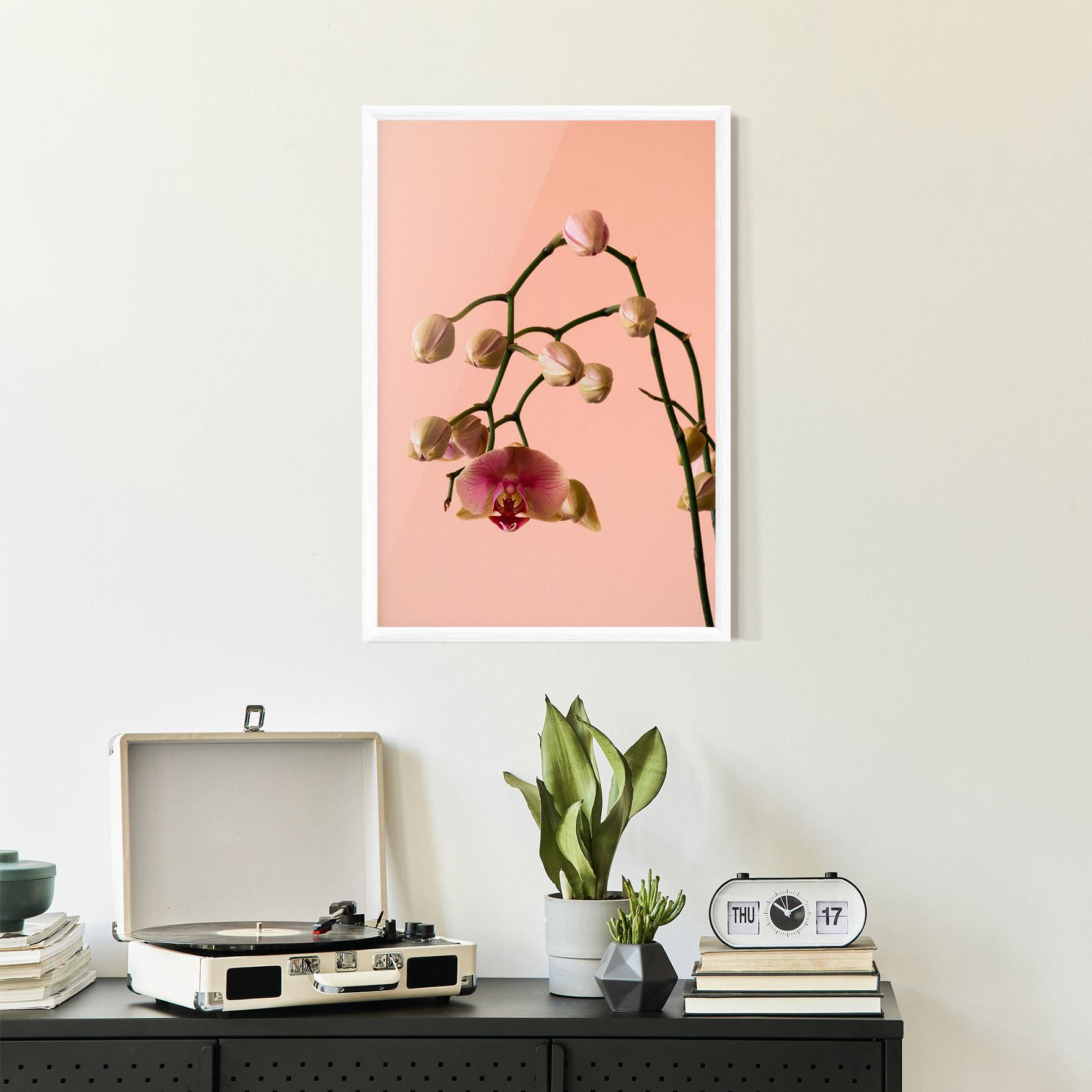 Poster Înrămat Orchids On Pink mockup 2