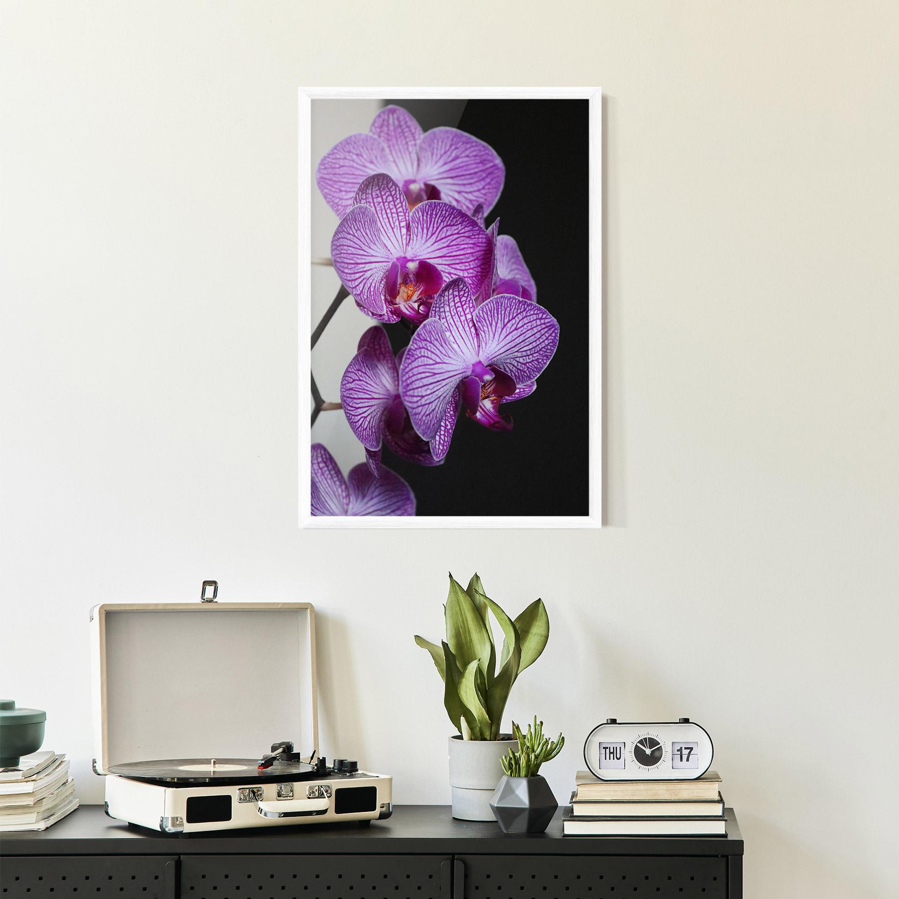 Poster Înrămat Purple Orchid On Black mockup 2