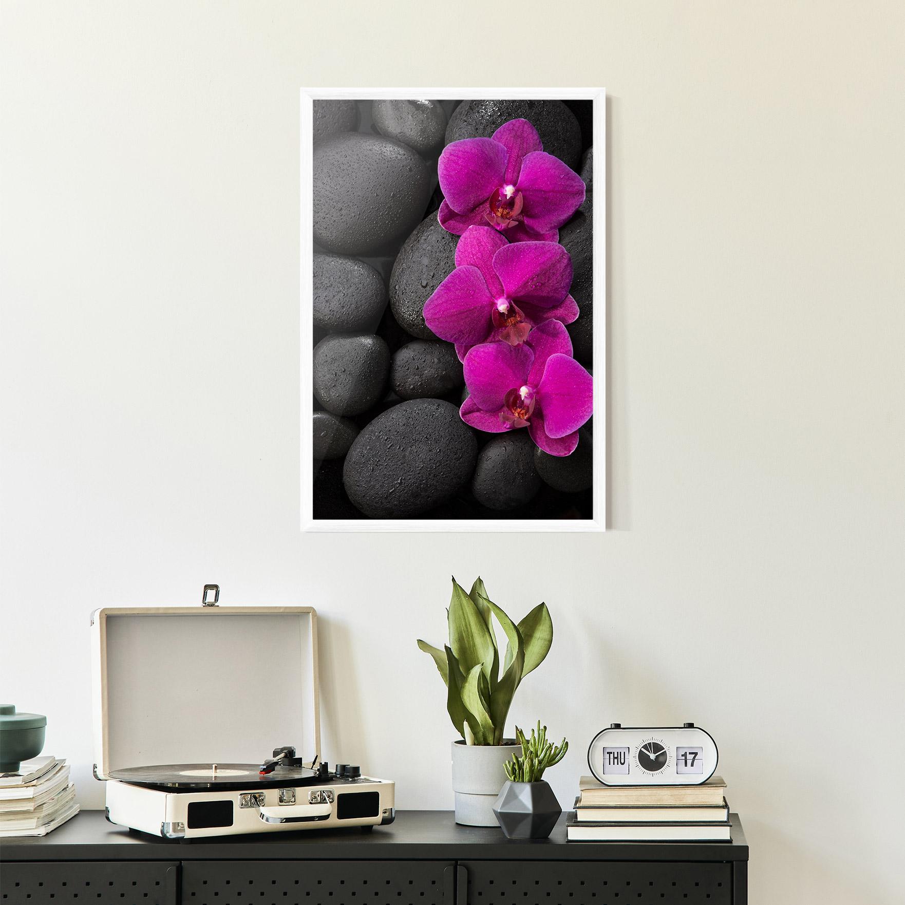 Poster Înrămat Purple Orchid On Rocks mockup 2