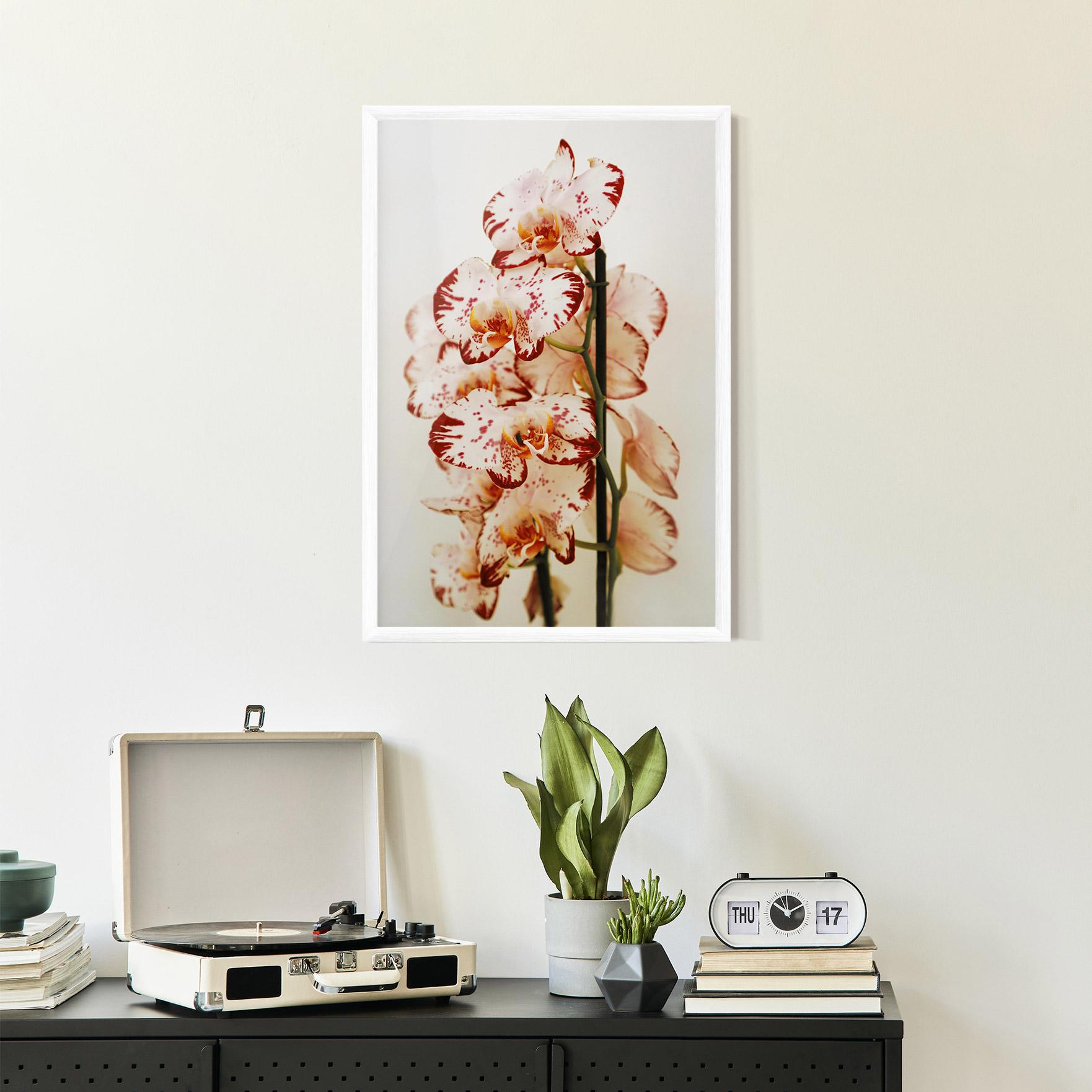 Poster Înrămat Red White Orchids mockup 2