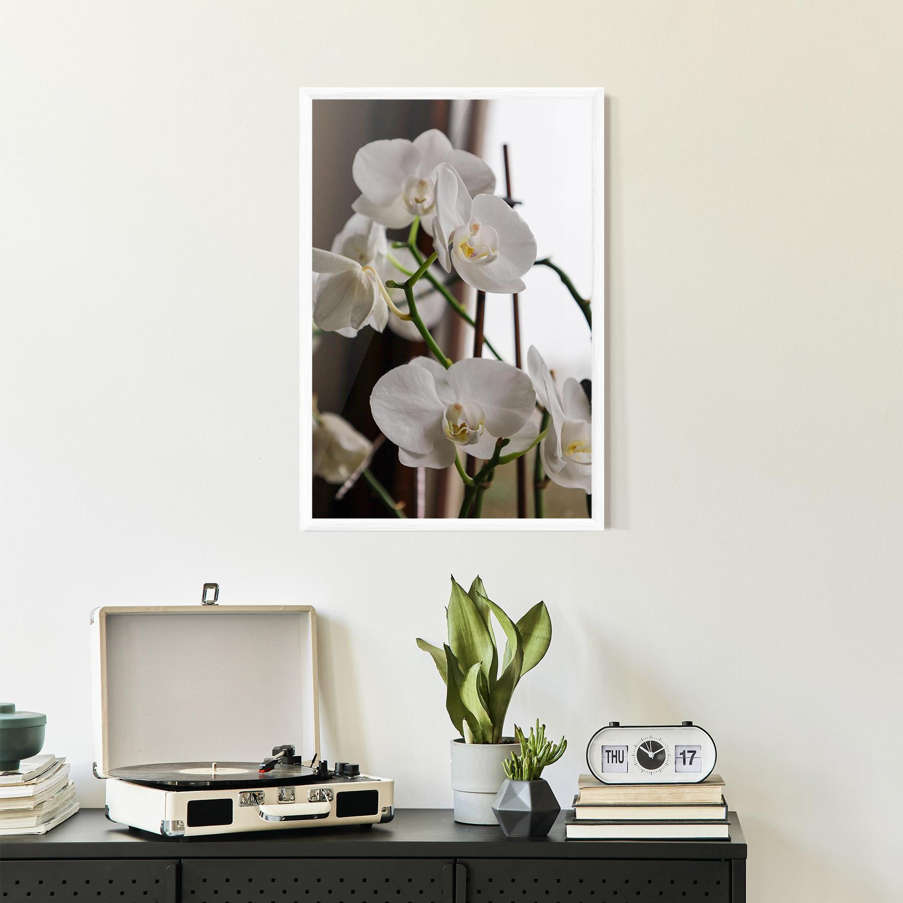 Poster Înrămat White Orchid Growing mockup 2