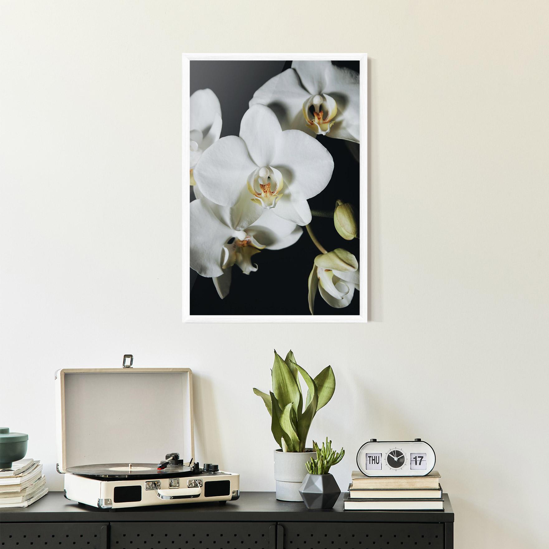 Poster Înrămat White Orchid On Black mockup 2