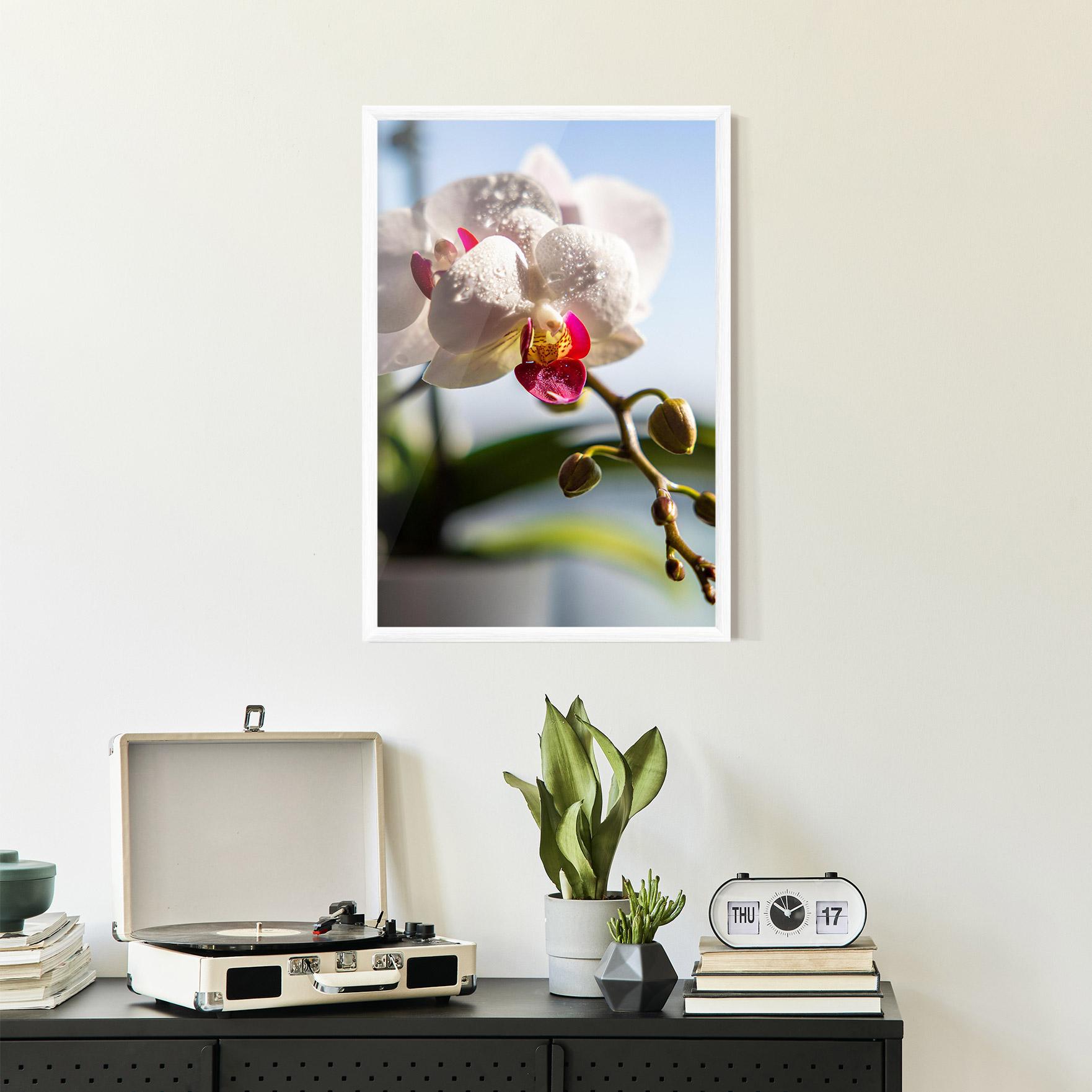 Poster Înrămat White Orchid With Water mockup 2