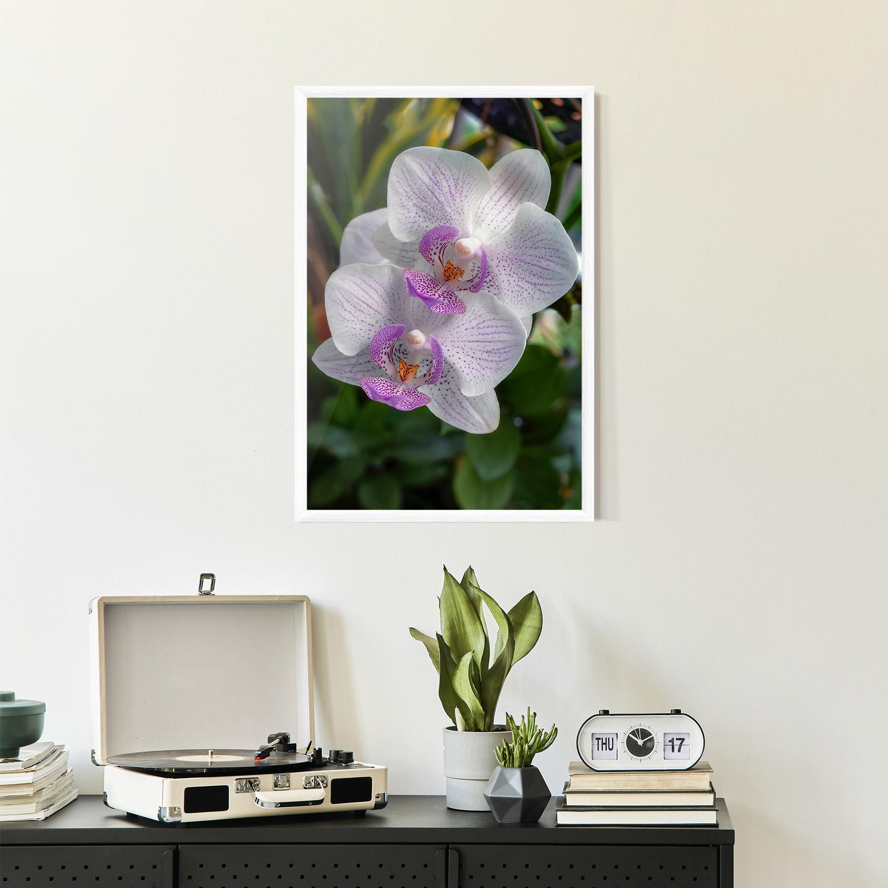 Poster Înrămat White Orchids mockup 2