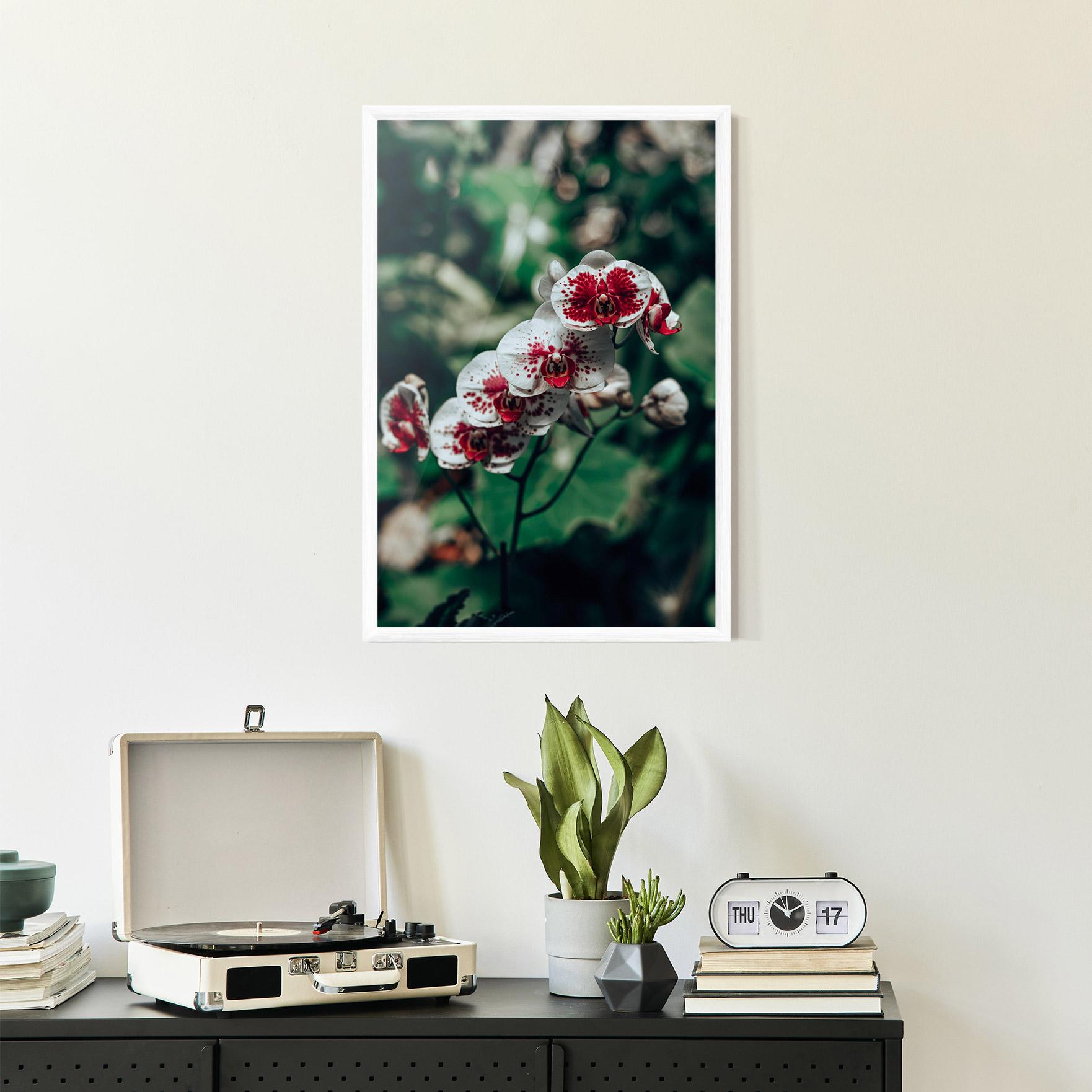 Poster Înrămat White Red Orchid mockup 2