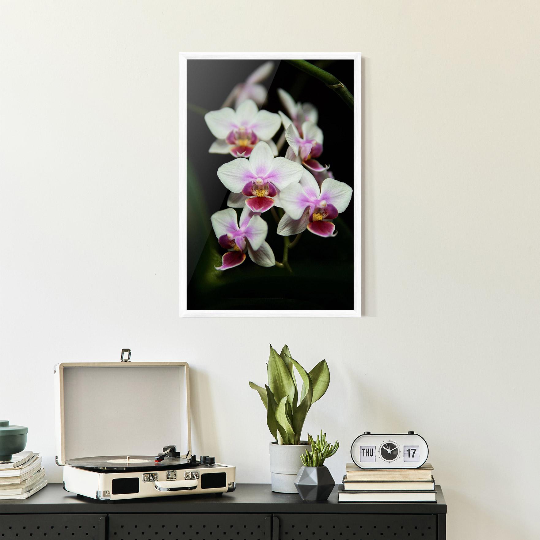 Poster Înrămat Wild White Purple Orchid mockup 2