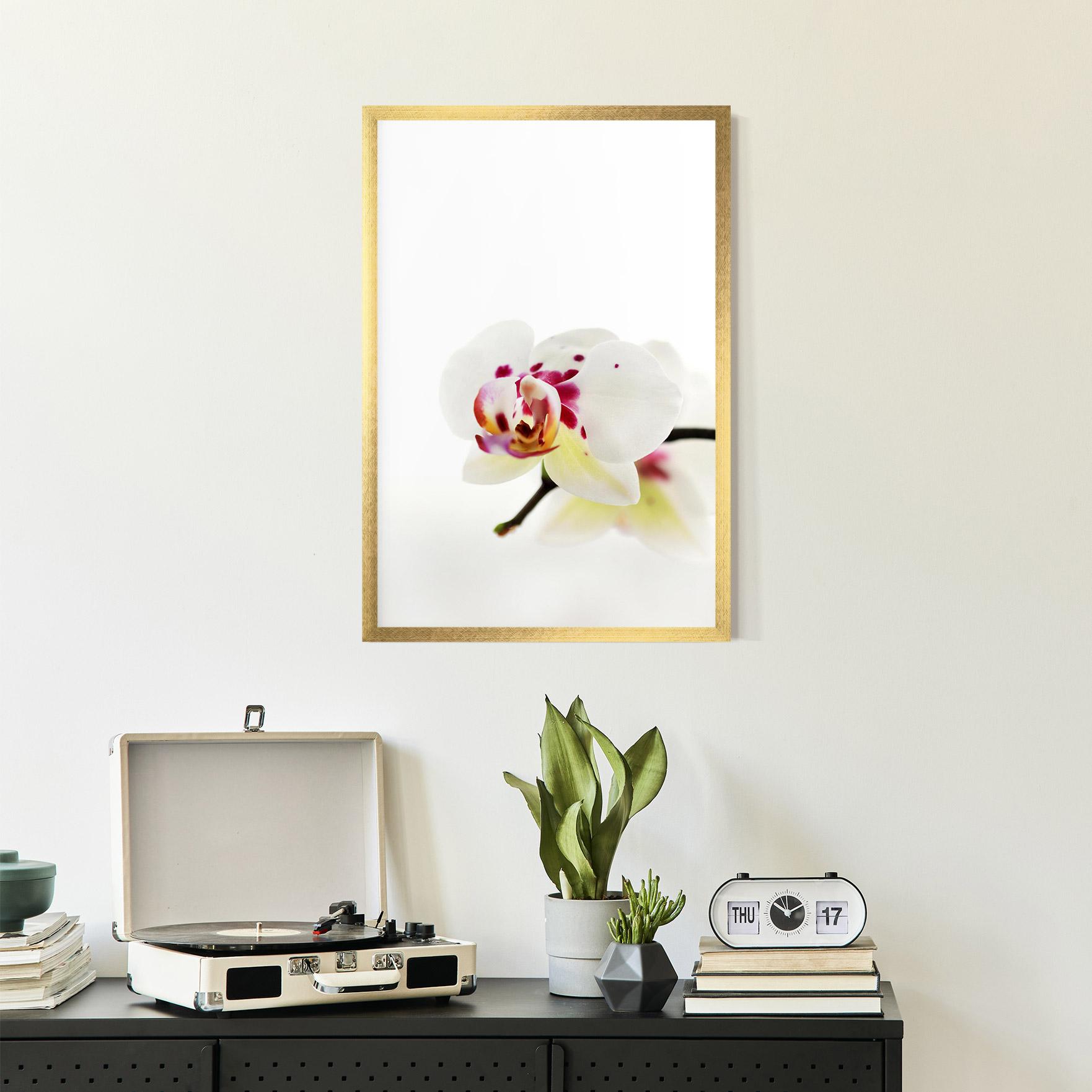 Poster Înrămat Clean White Orchid mockup 2