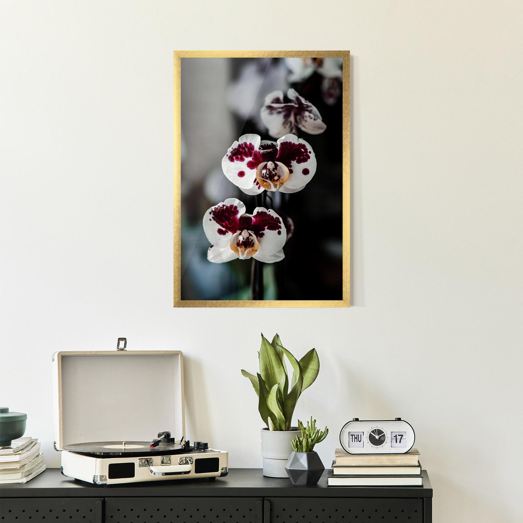 Poster Înrămat Dark Purple Orchid mockup 2