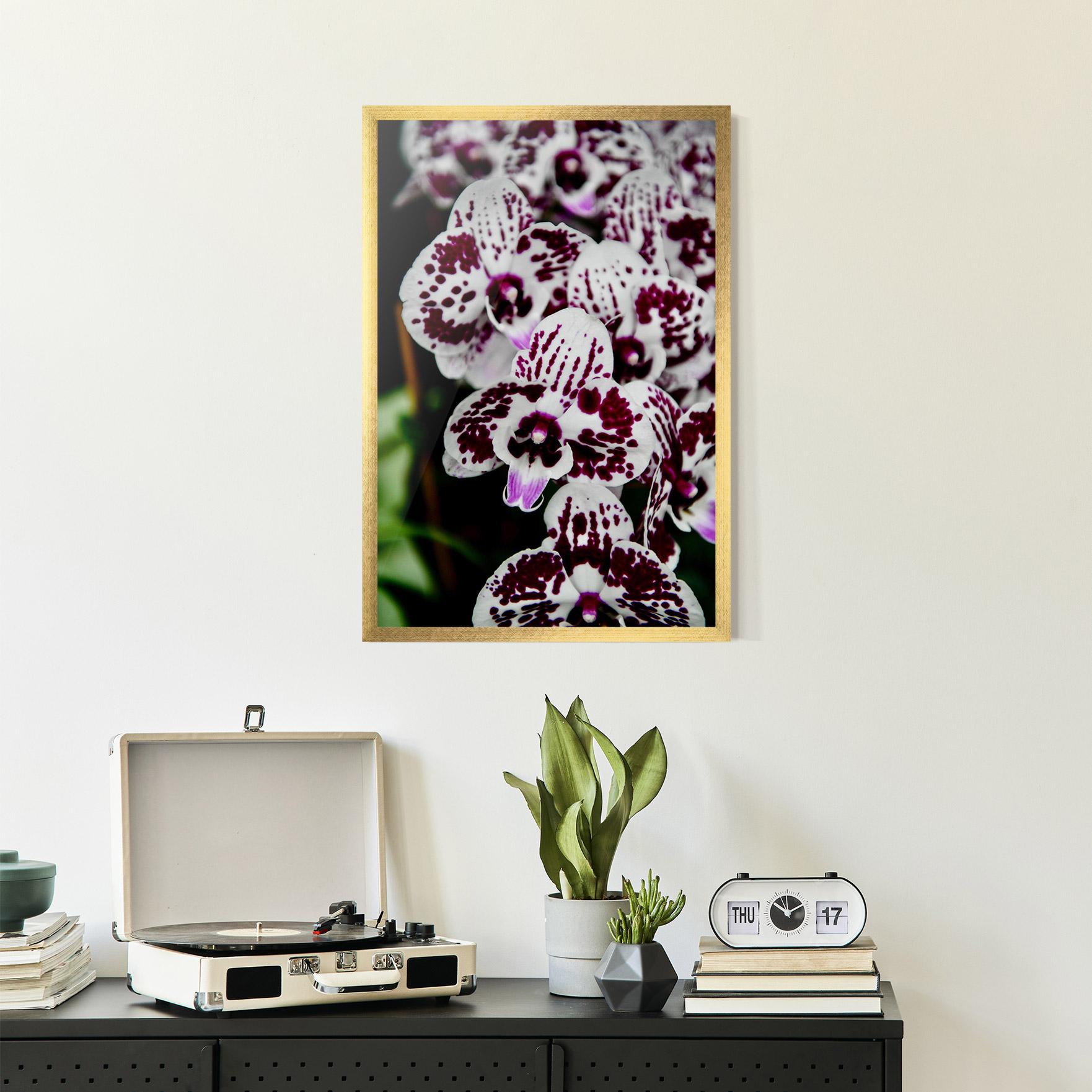 Poster Înrămat Dark Purple Orchids mockup 2
