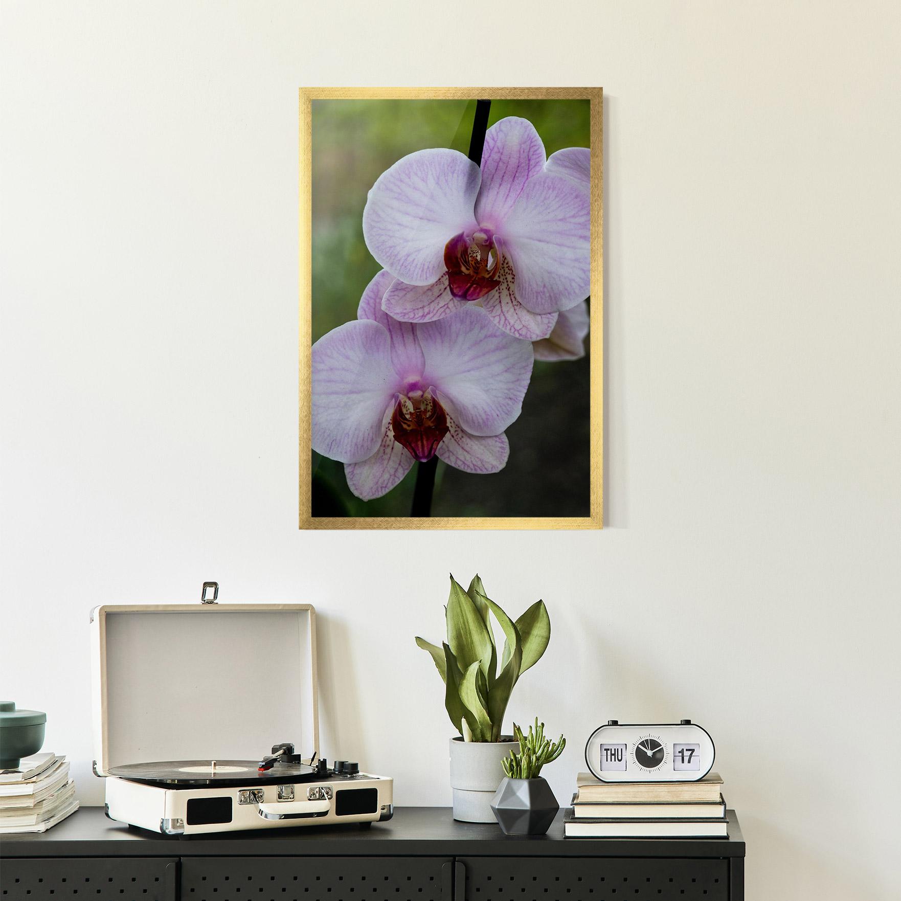 Poster Înrămat Garden Light Purple Orchid mockup 2