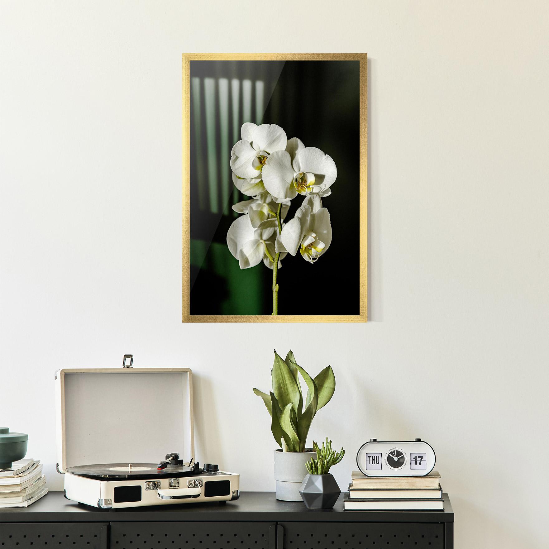 Poster Înrămat Orchid On Green mockup 2