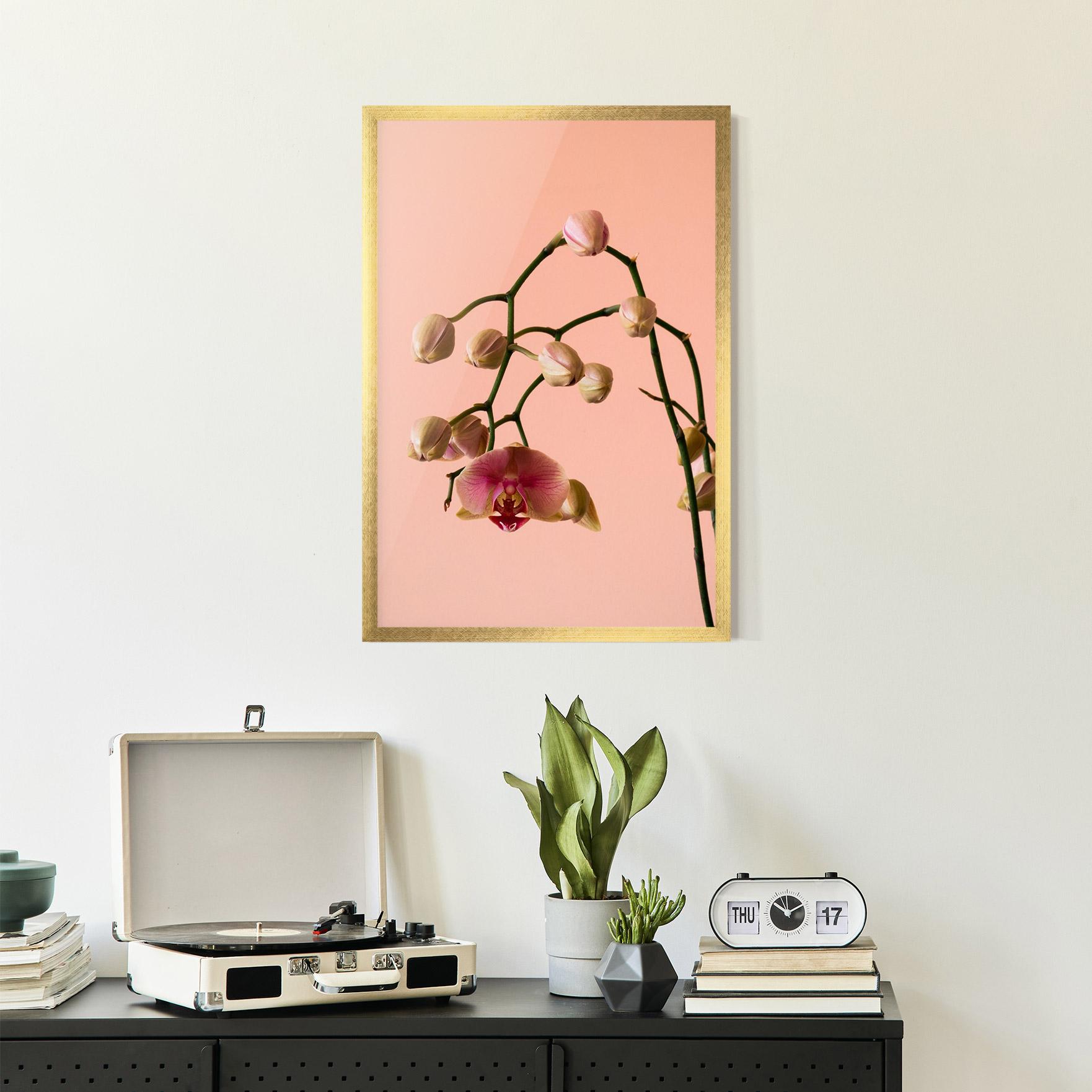 Poster Înrămat Orchids On Pink mockup 2