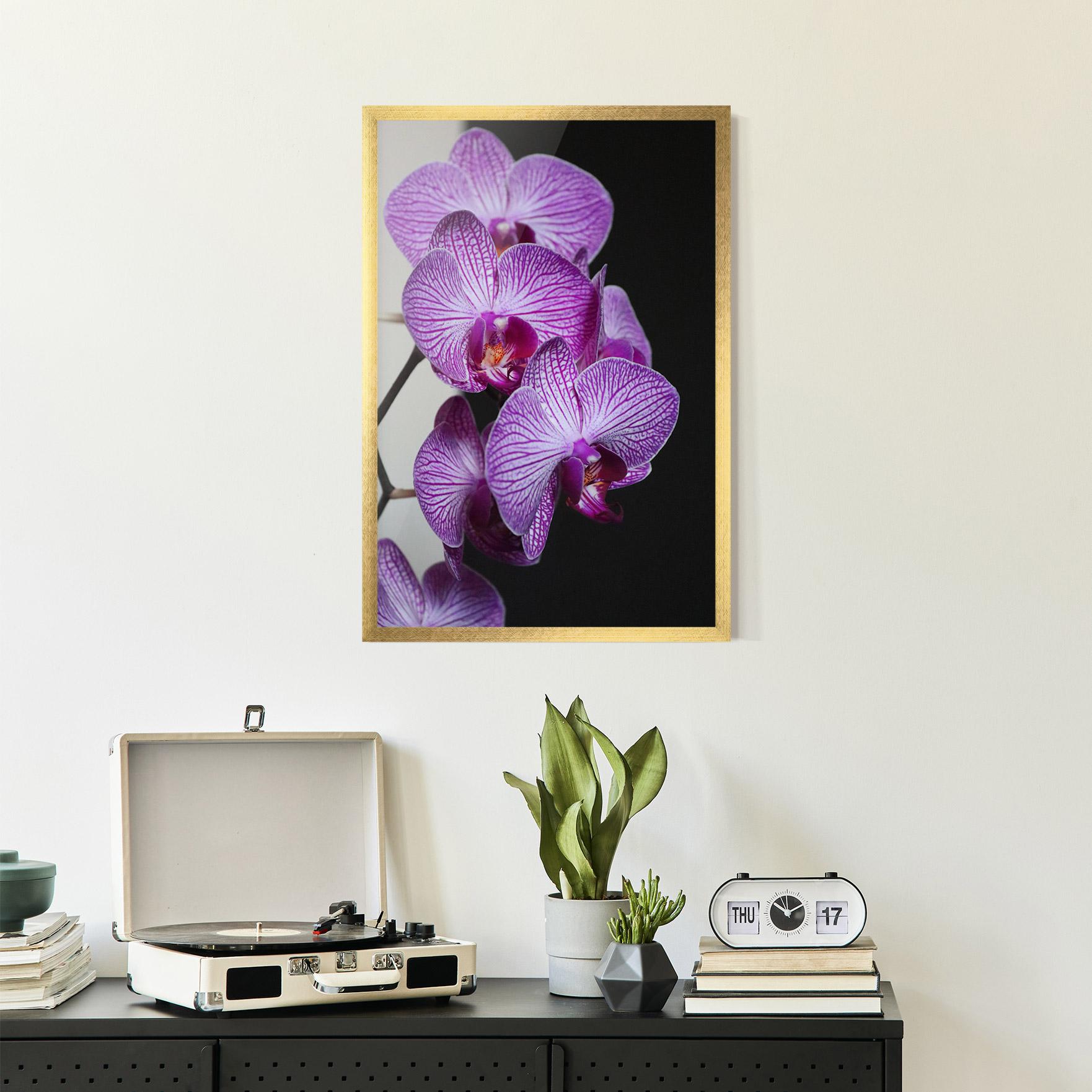 Poster Înrămat Purple Orchid On Black mockup 2
