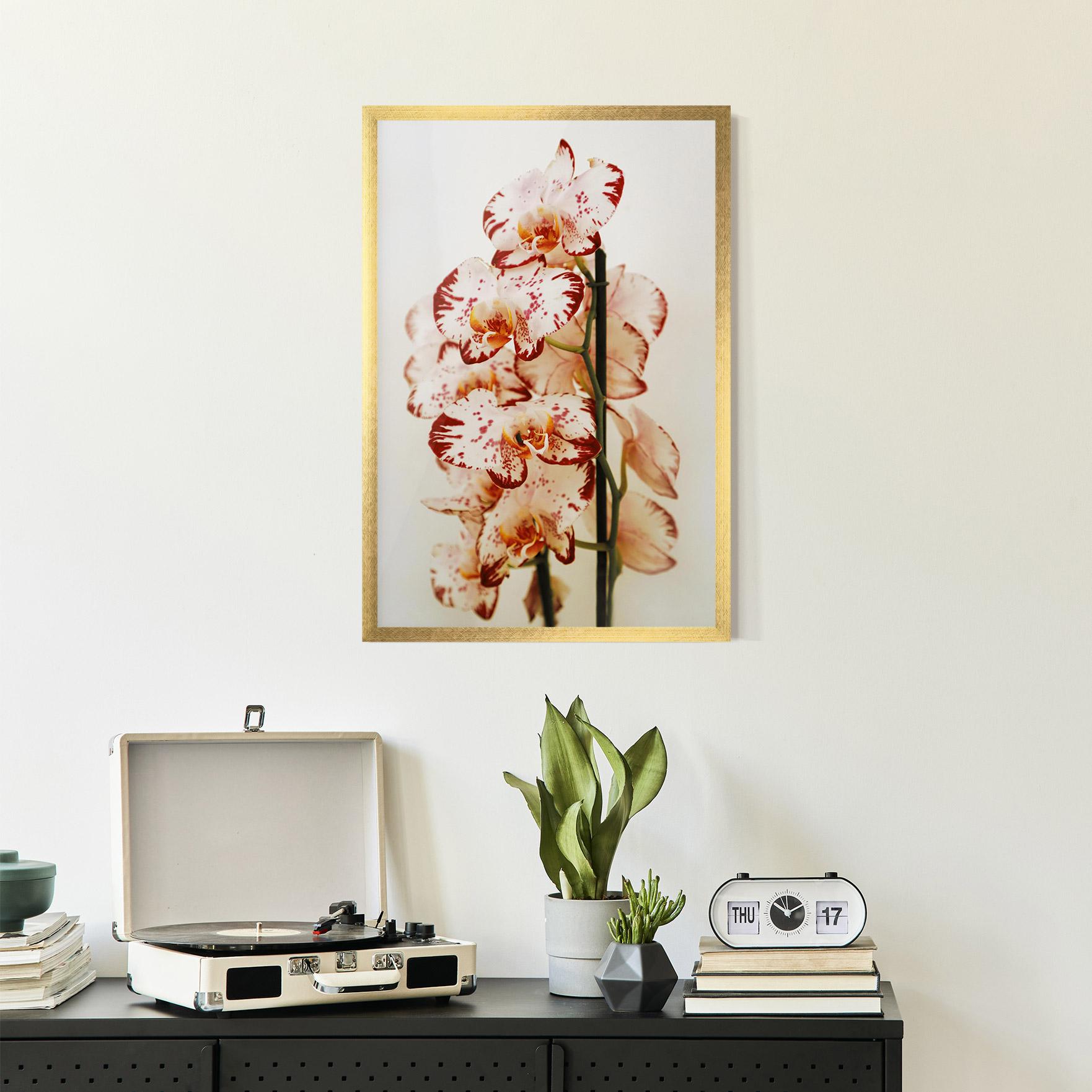 Poster Înrămat Red White Orchids mockup 2