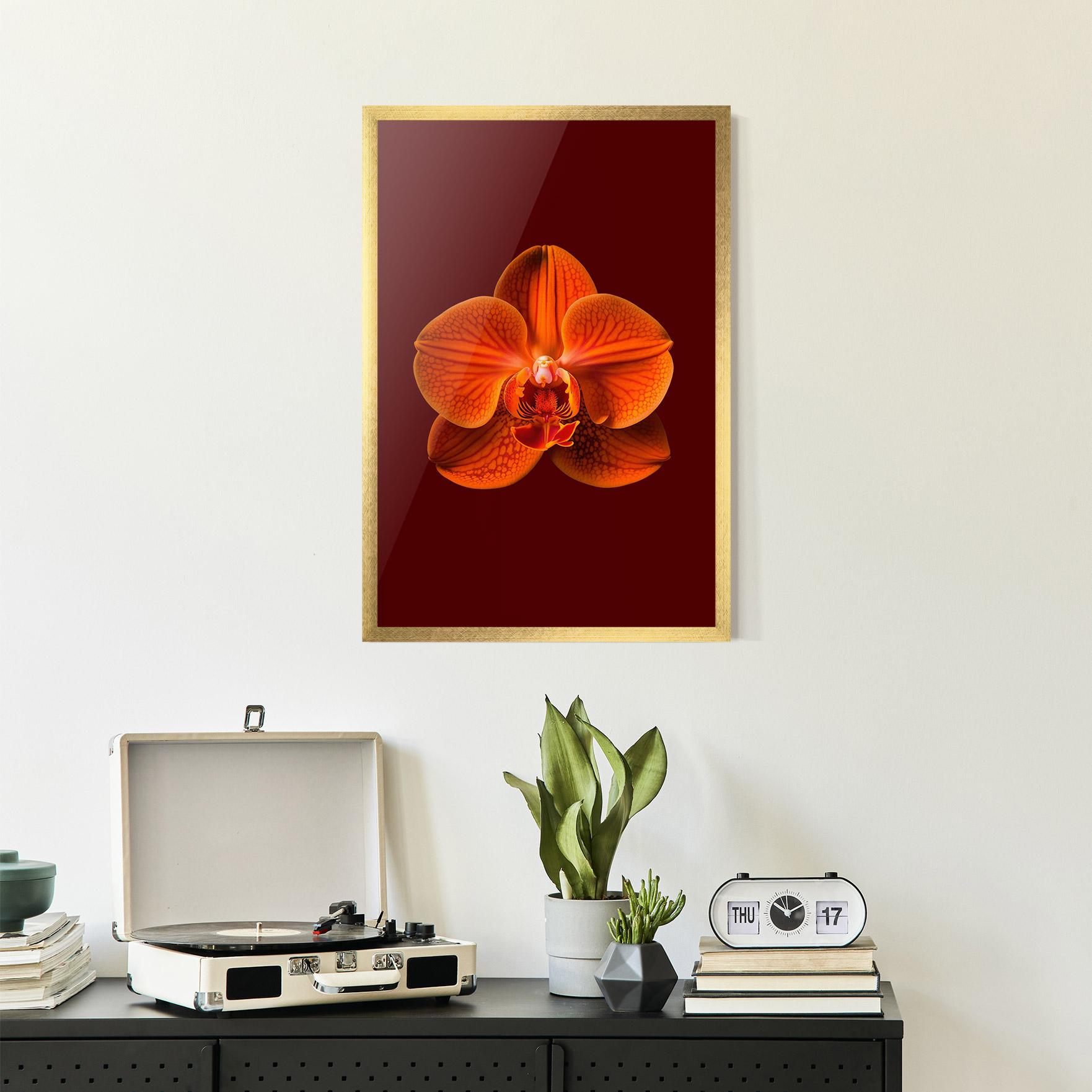 Poster Înrămat Strong Orange Orchid mockup 2