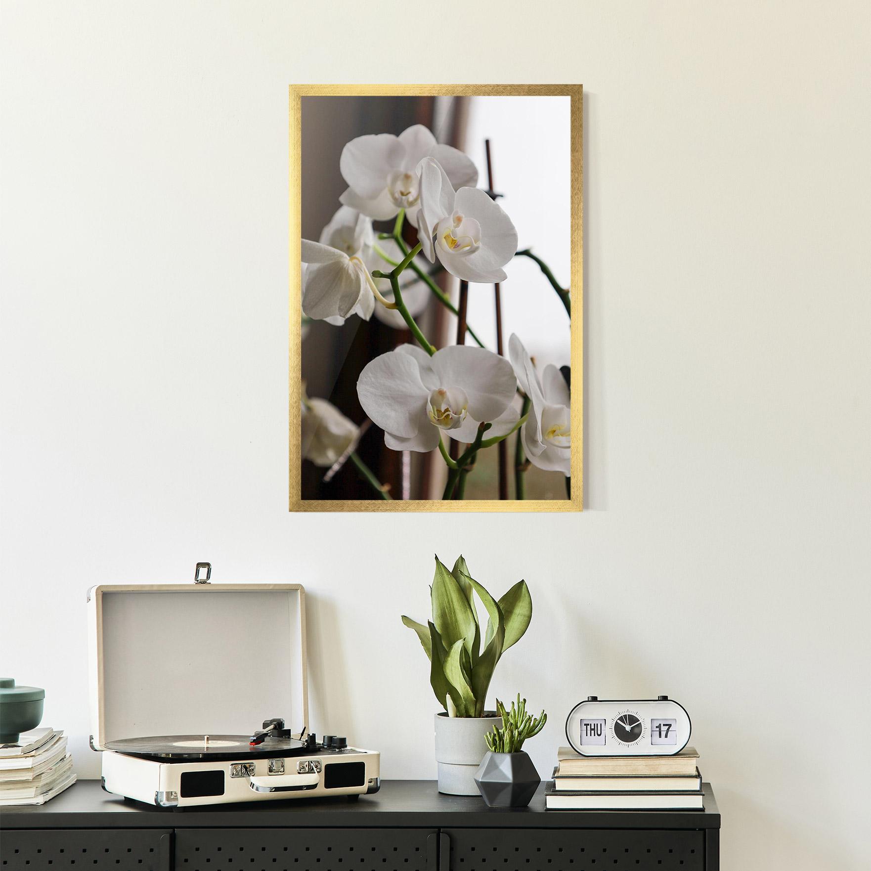 Poster Înrămat White Orchid Growing mockup 2