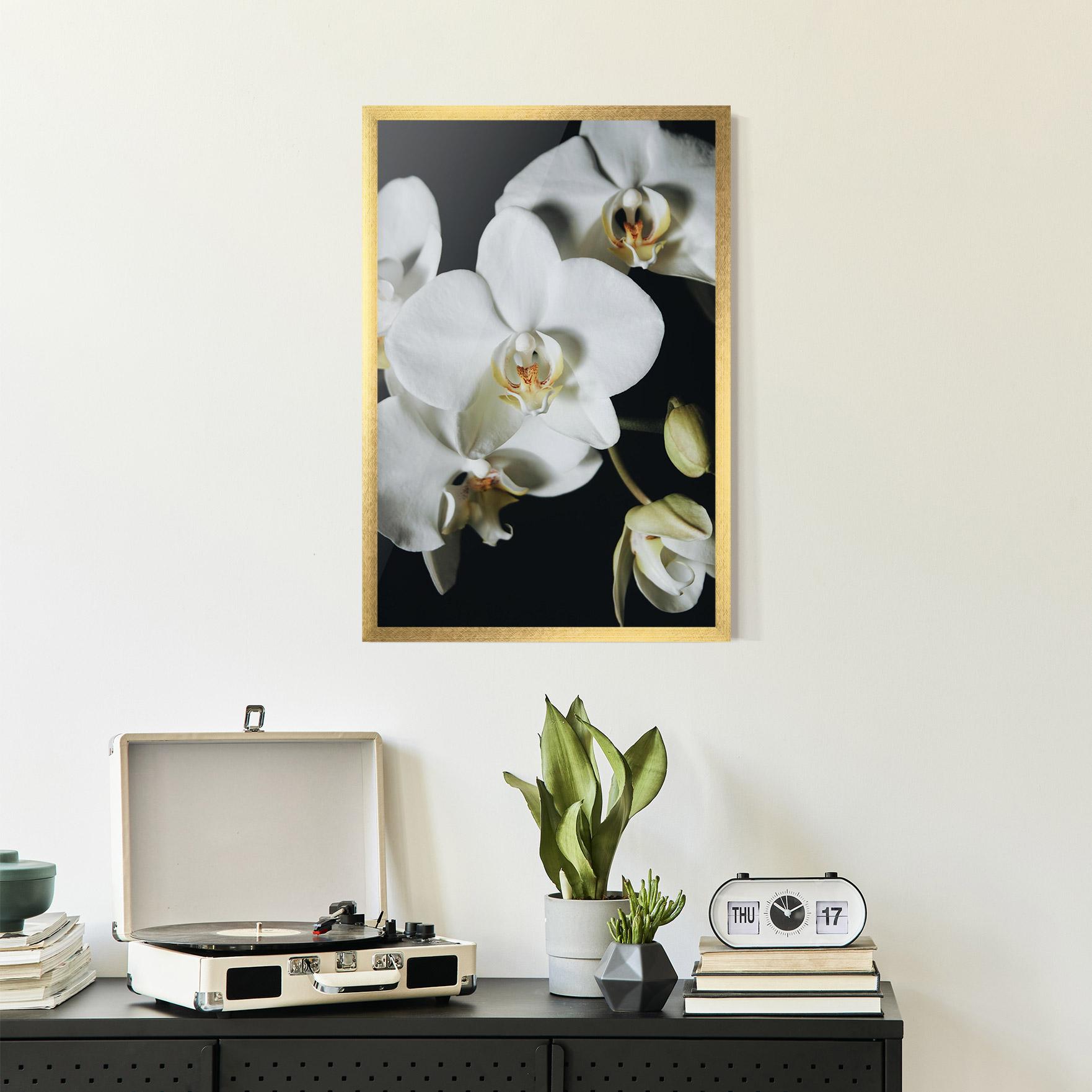 Poster Înrămat White Orchid On Black mockup 2