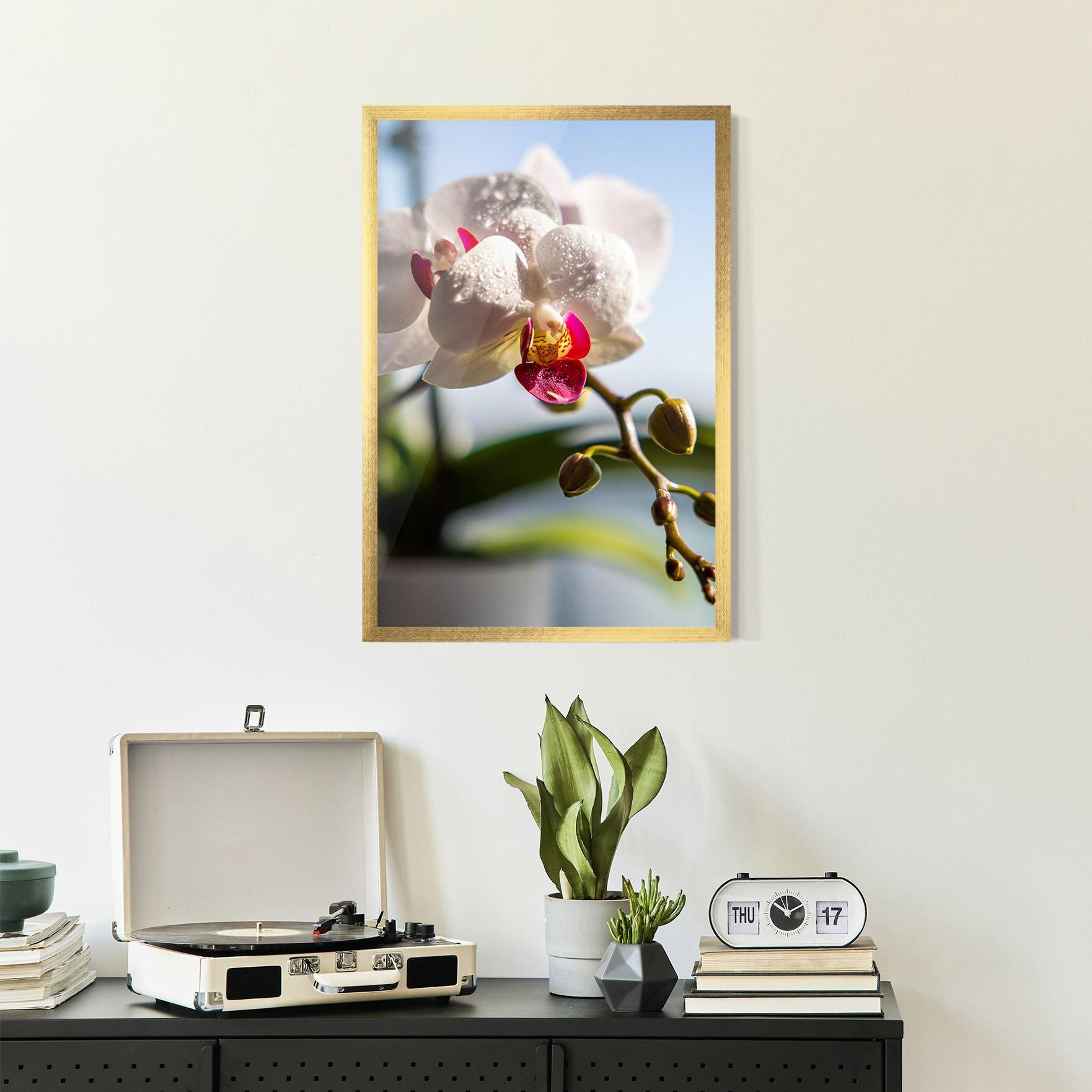Poster Înrămat White Orchid With Water mockup 2
