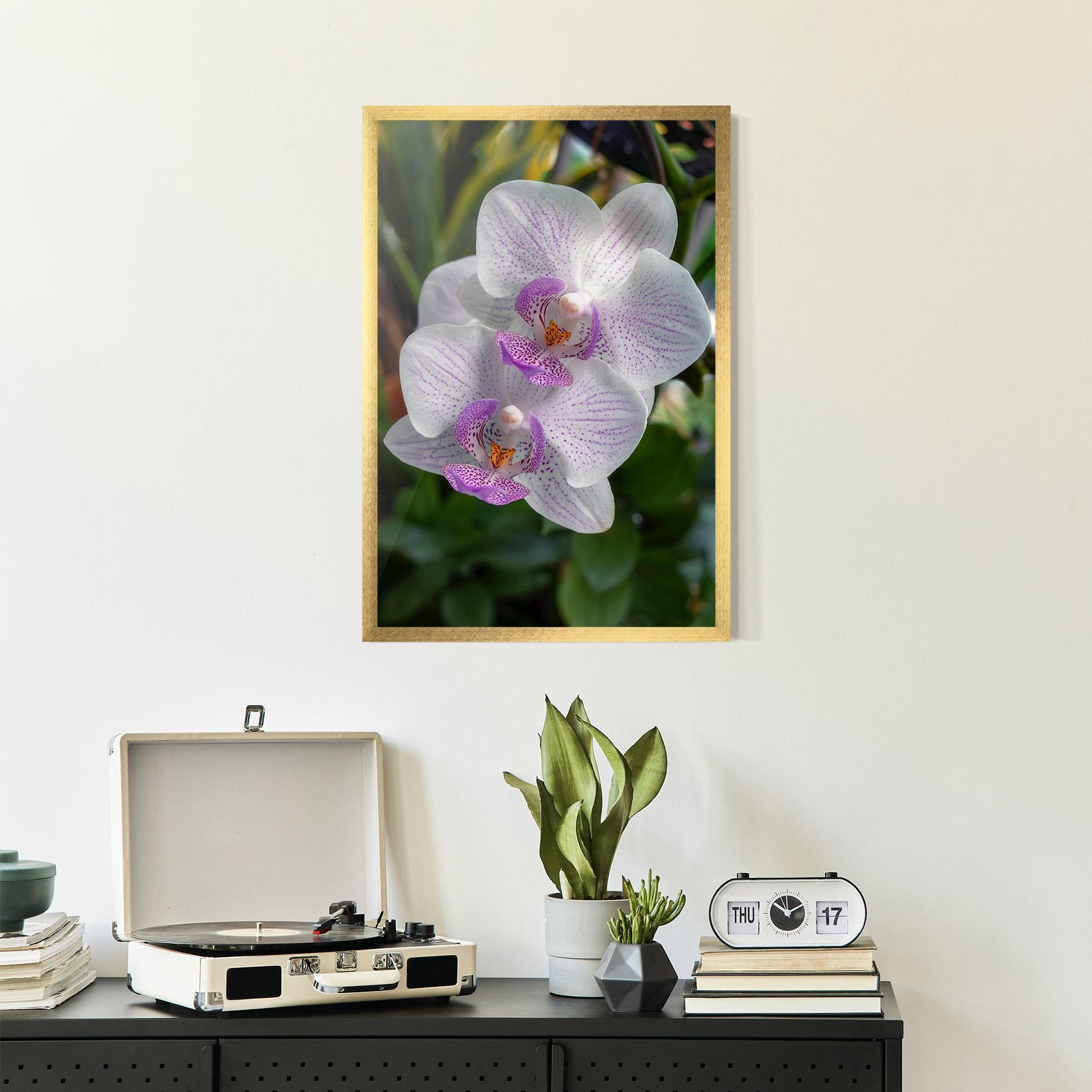Poster Înrămat White Orchids mockup 2