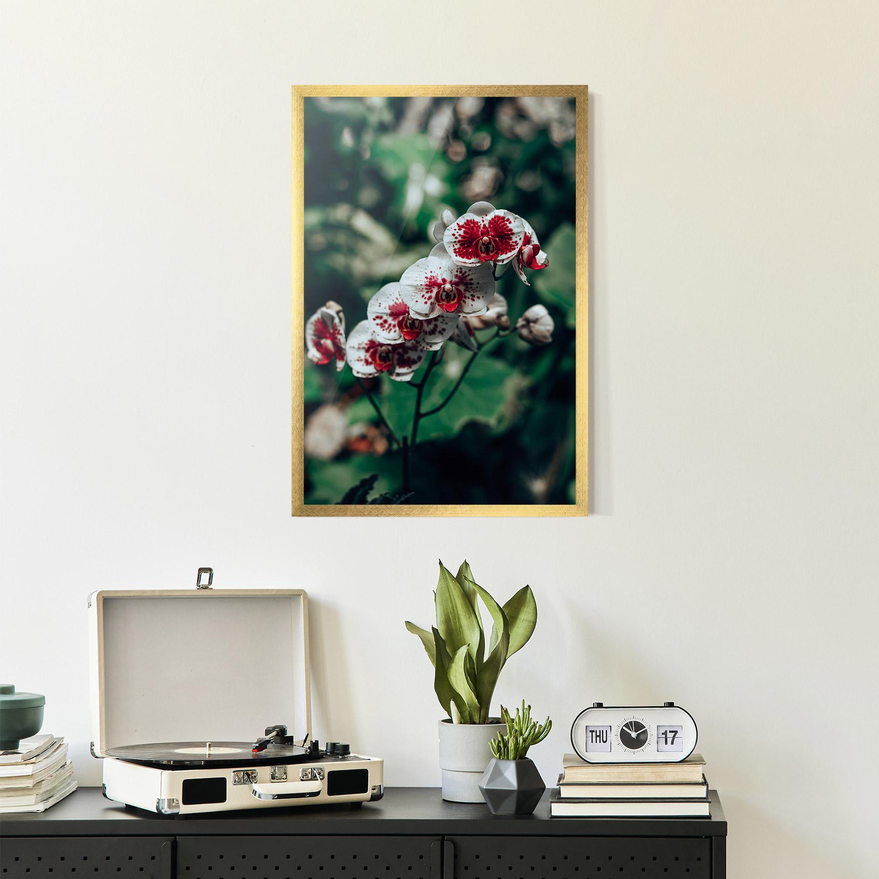 Poster Înrămat White Red Orchid mockup 2