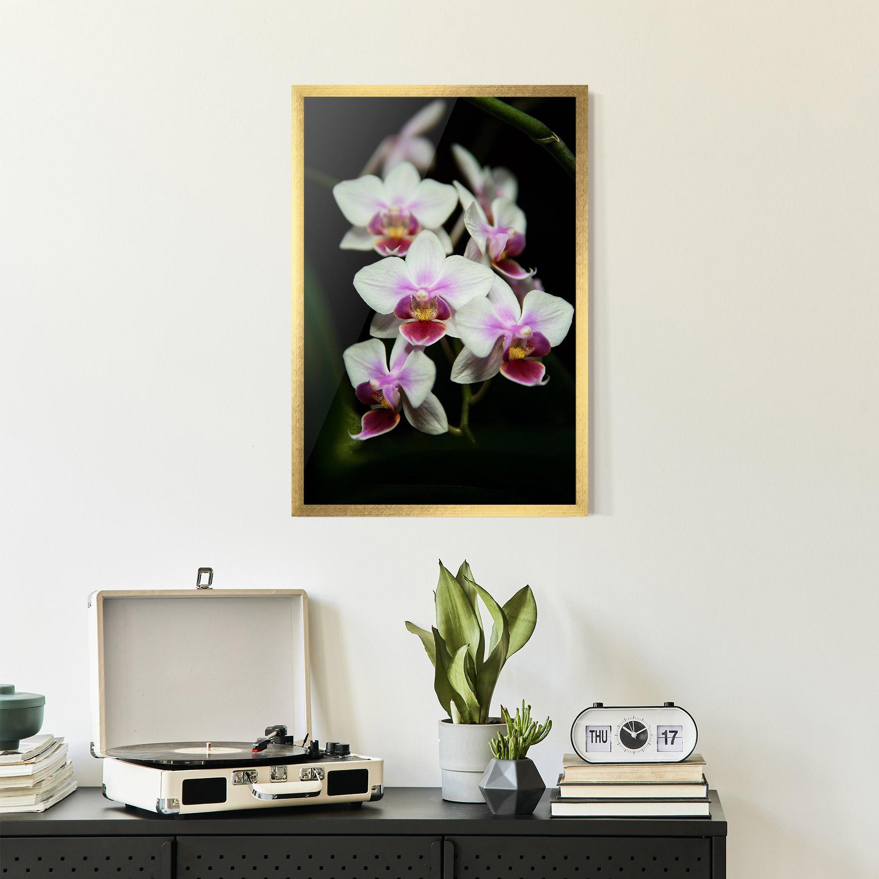 Poster Înrămat Wild White Purple Orchid mockup 2