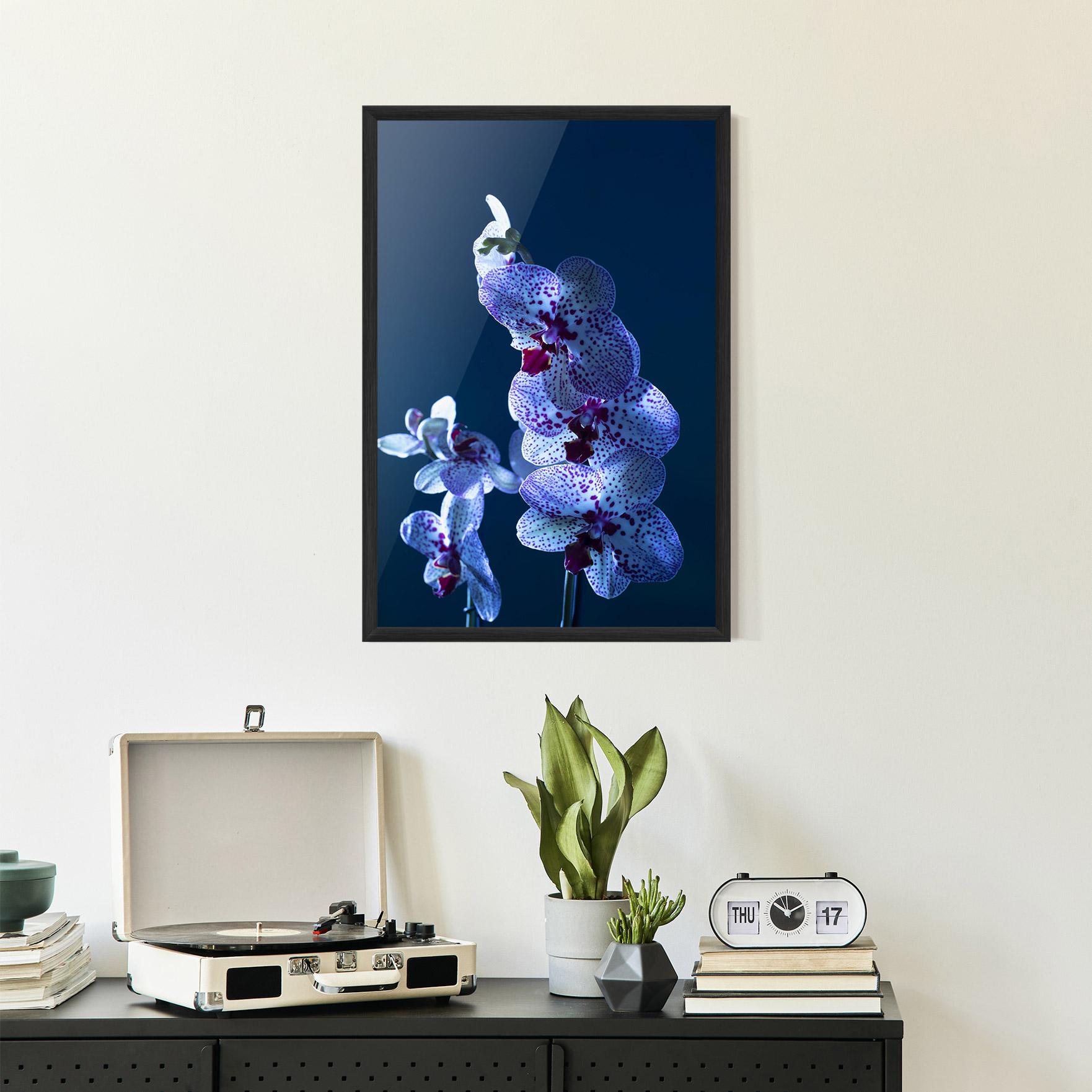 Poster Înrămat Blue Light Orchid mockup 2