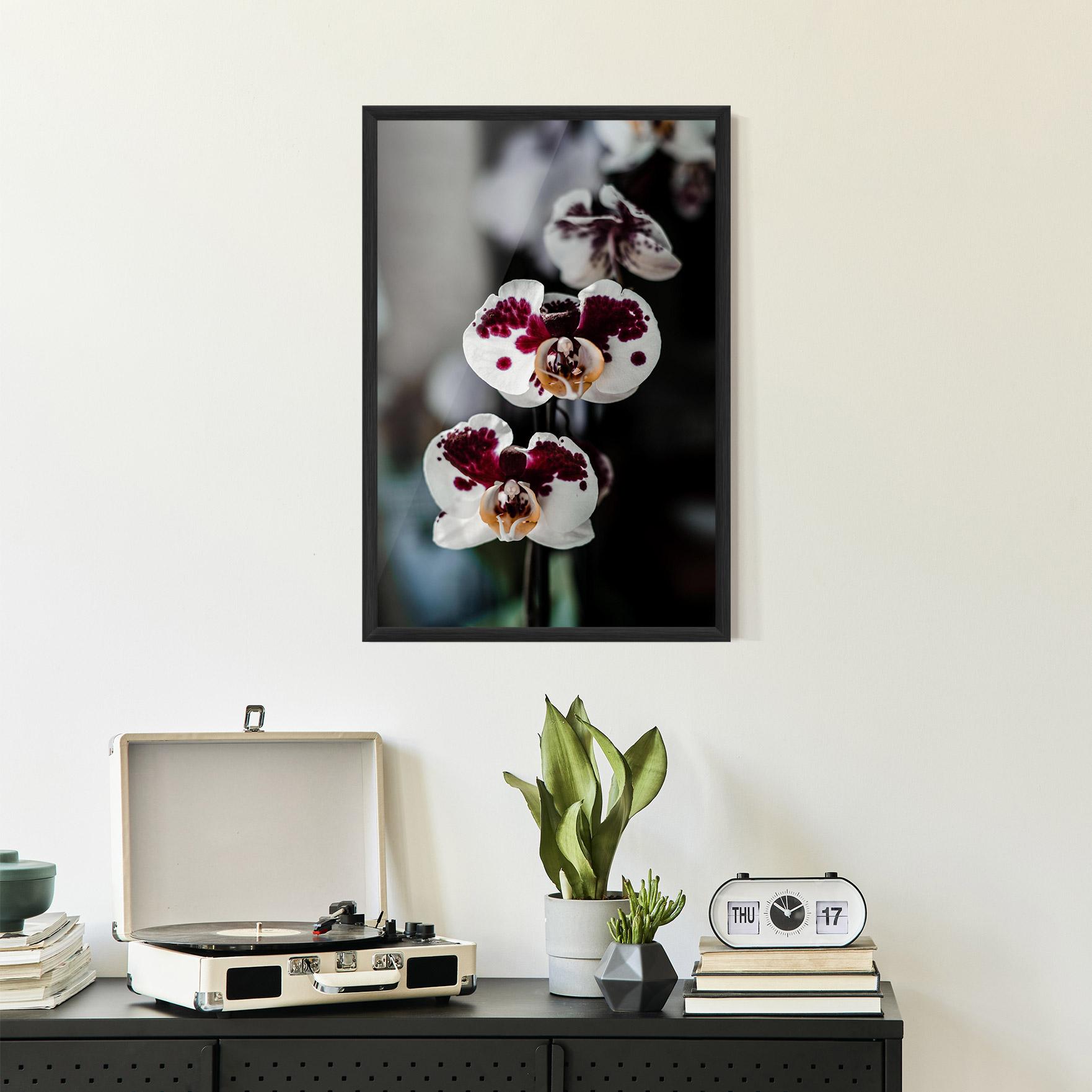 Poster Înrămat Dark Purple Orchid mockup 2