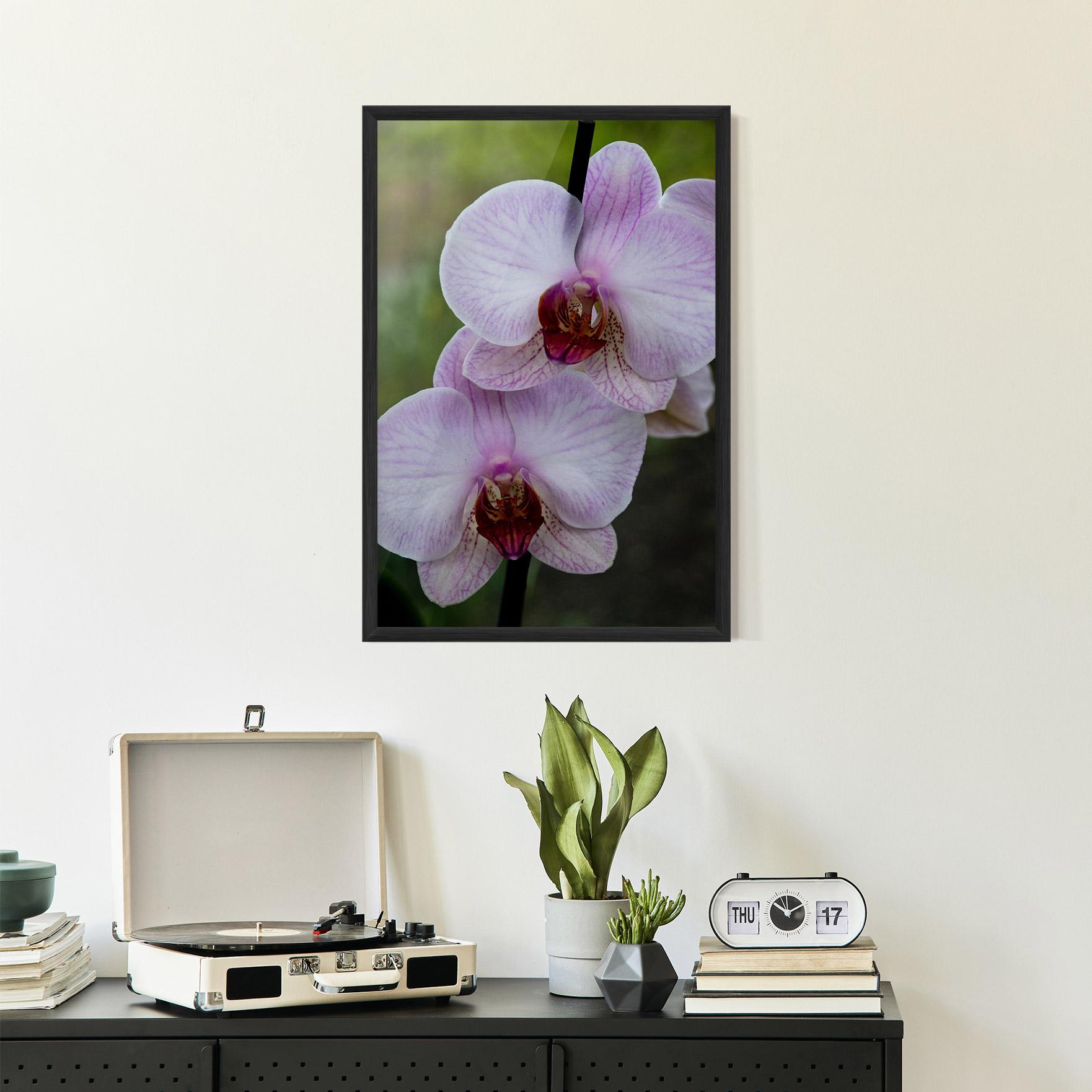 Poster Înrămat Garden Light Purple Orchid mockup 2