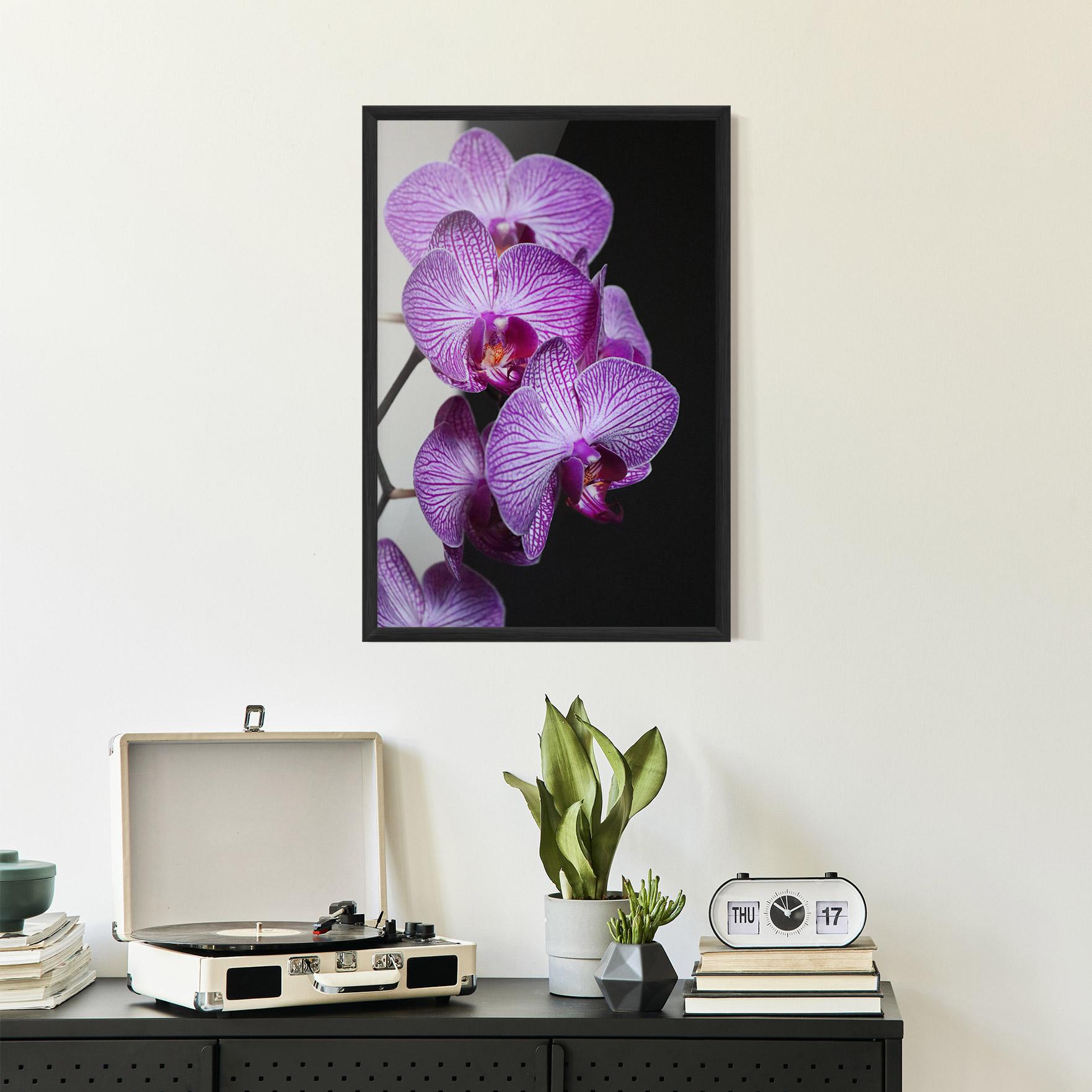 Poster Înrămat Purple Orchid On Black mockup 2