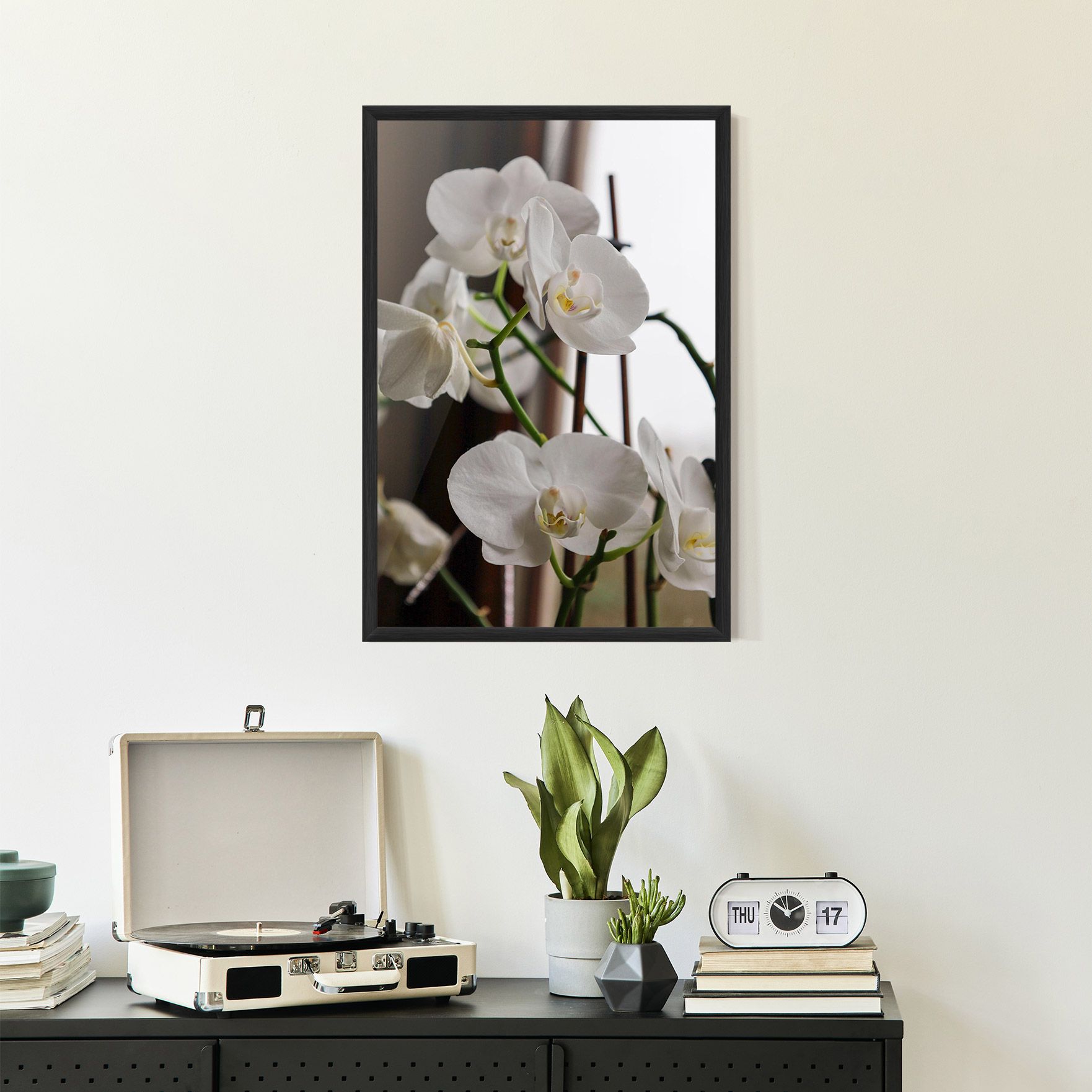 White Orchid Growing mockup 2