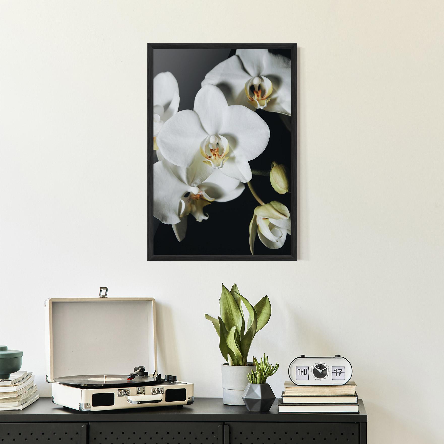 Poster Înrămat White Orchid On Black mockup 2