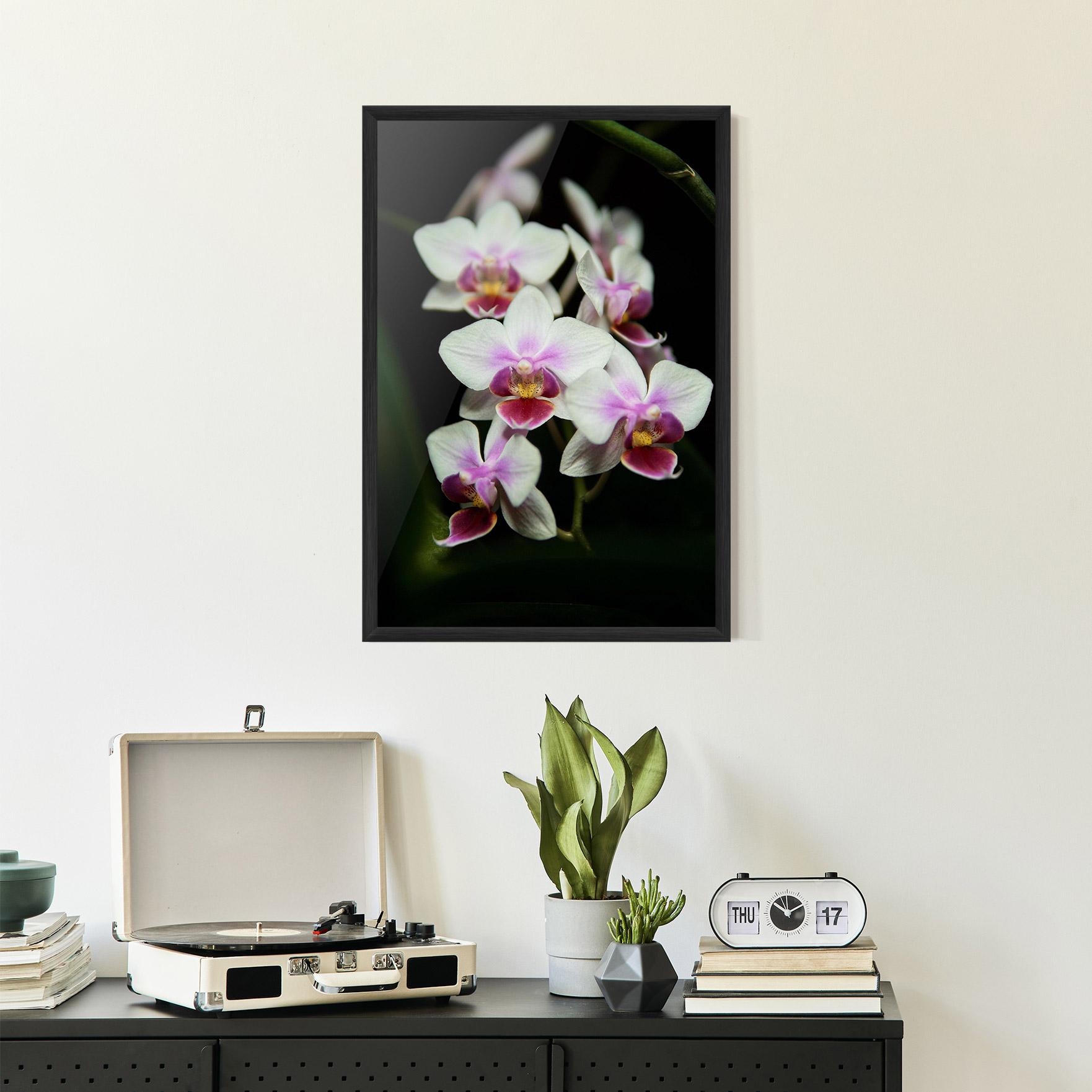 Poster Înrămat Wild White Purple Orchid mockup 2
