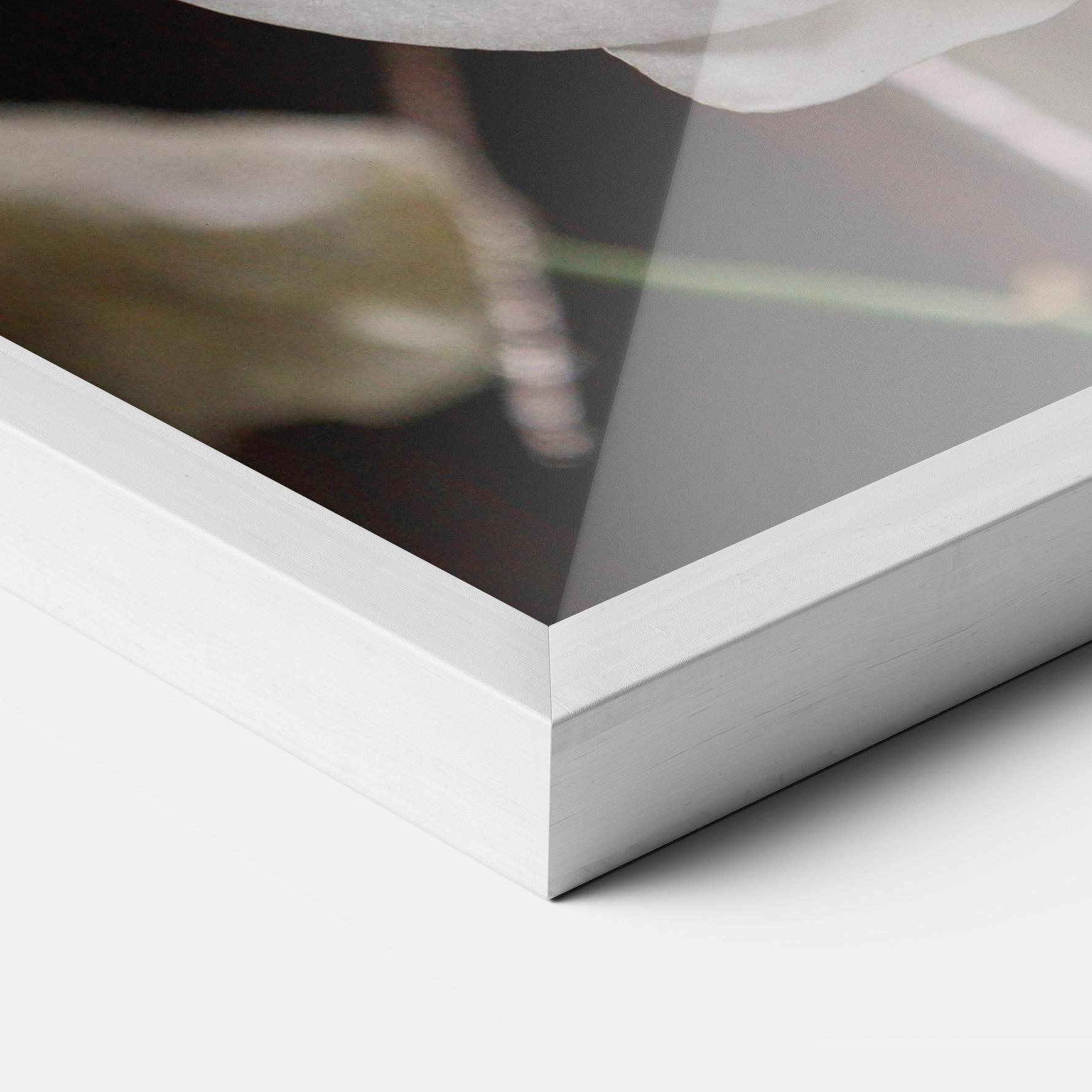 Poster Înrămat White Orchid Growing mockup 3