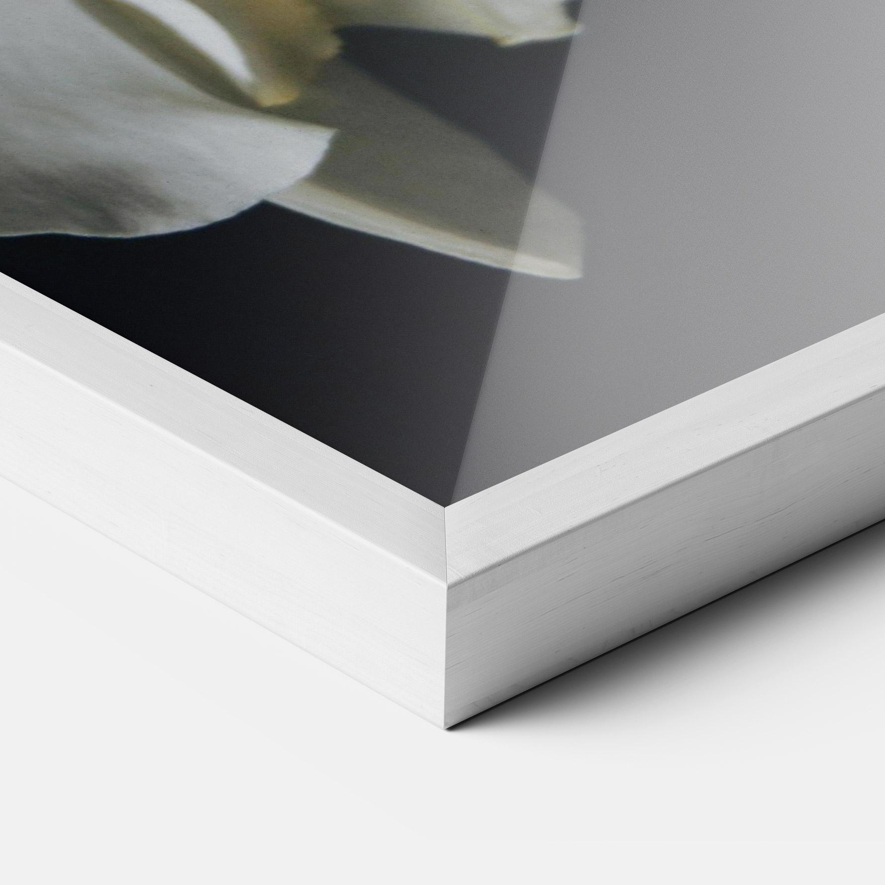 Poster Înrămat White Orchid On Black mockup 3