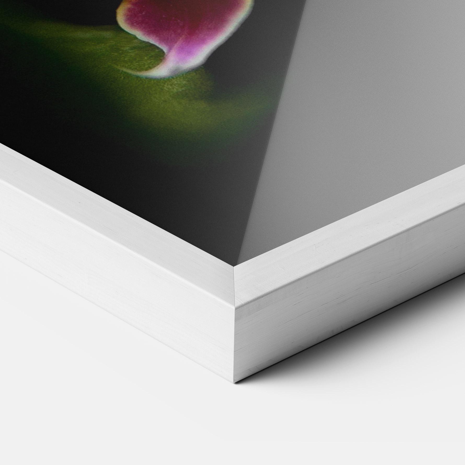 Poster Înrămat Wild White Purple Orchid mockup 3