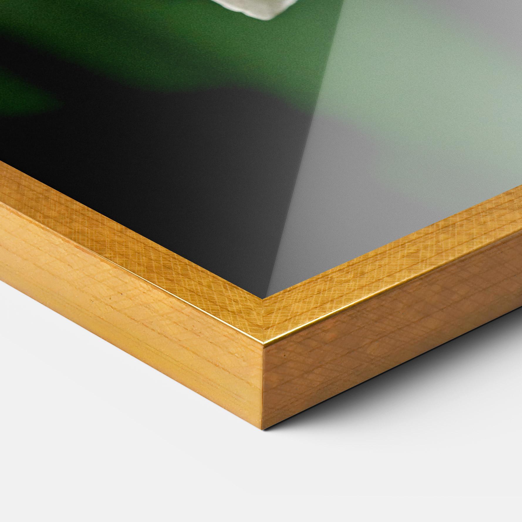 Poster Înrămat Orchid On Green mockup 3