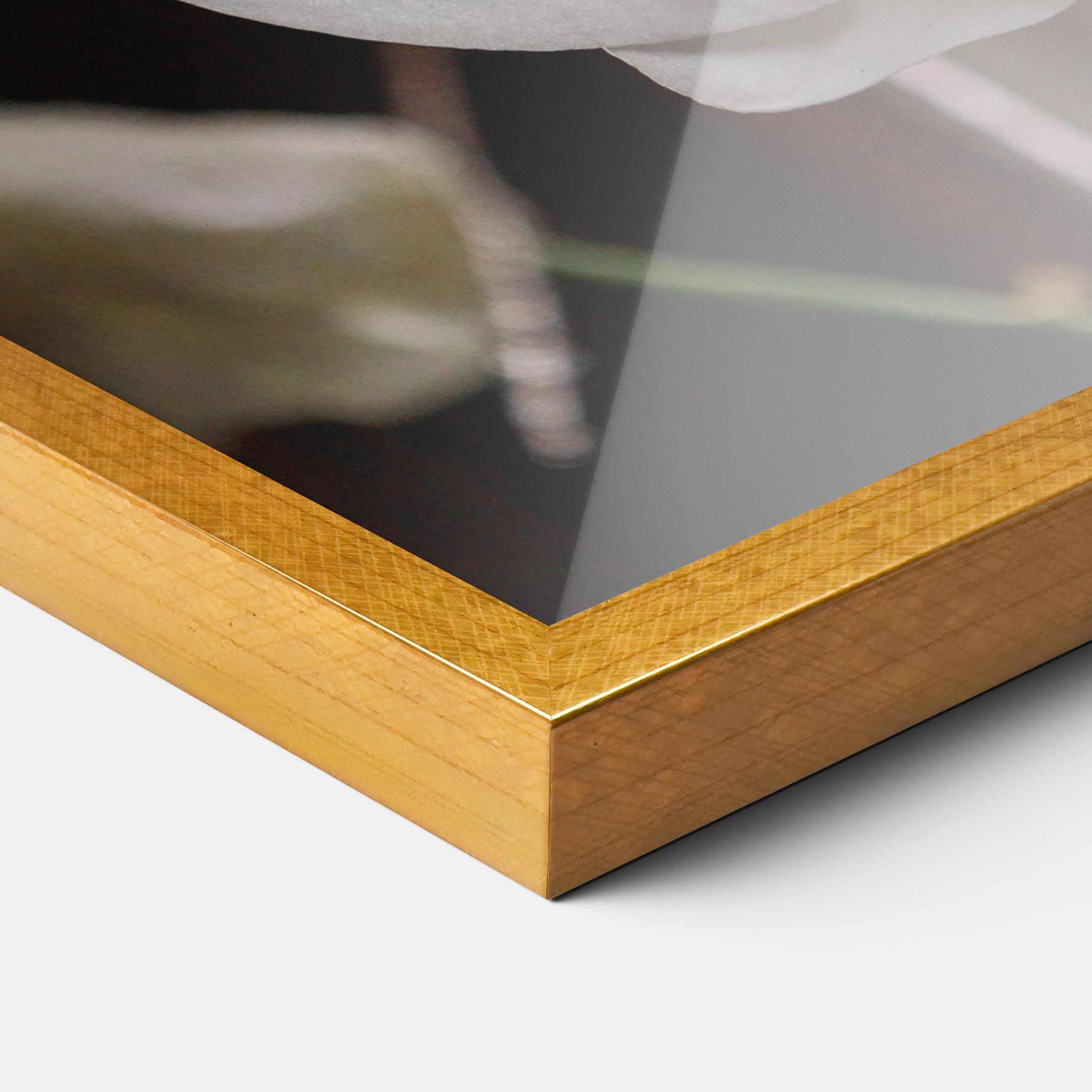 White Orchid Growing mockup 3