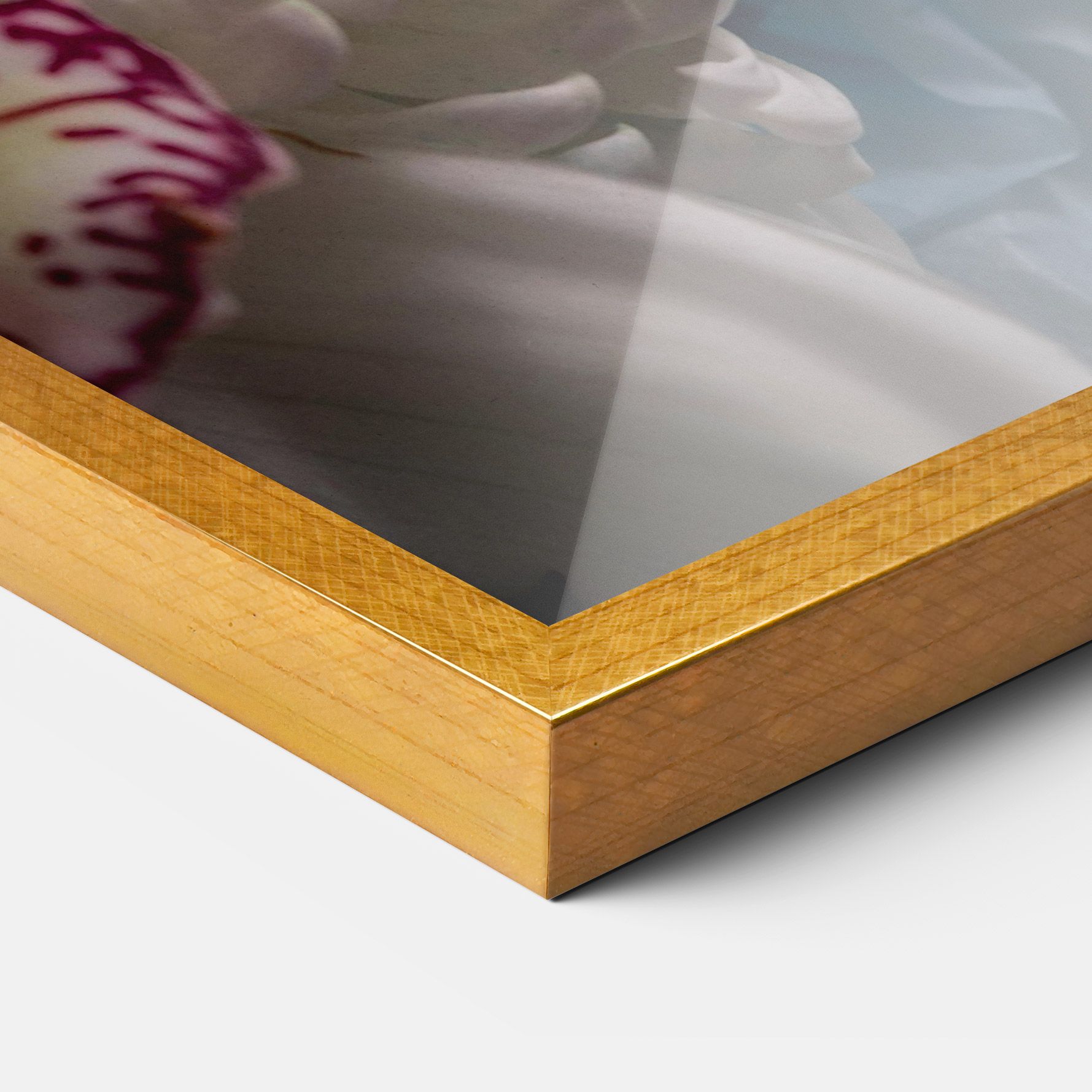 White Orchid With Blue mockup 3