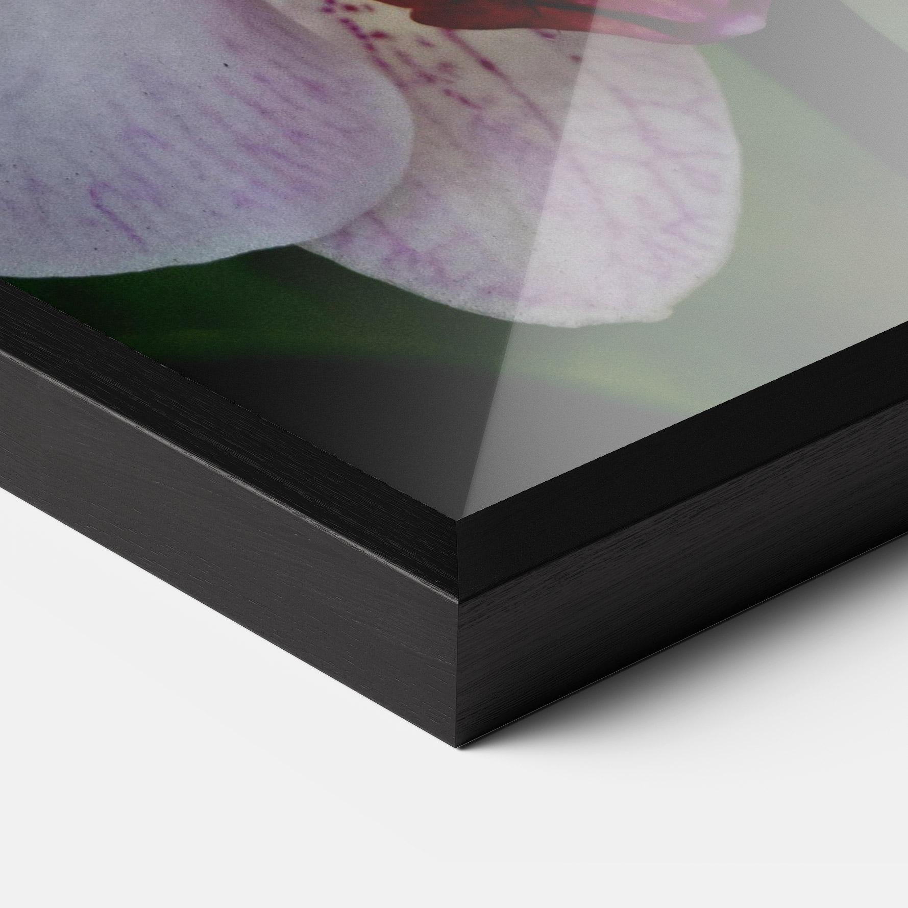 Poster Înrămat Garden Light Purple Orchid mockup 3