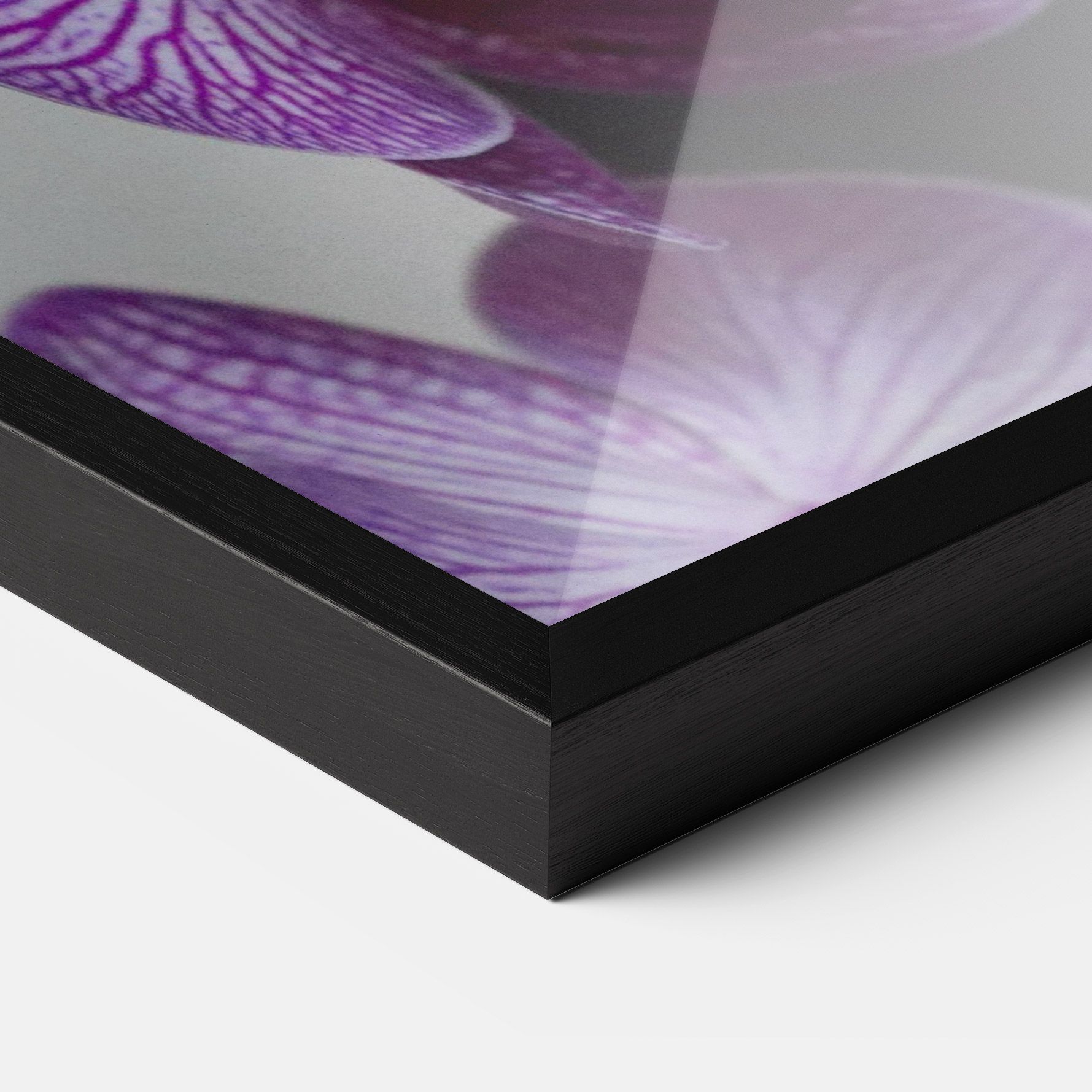 Purple Orchid On Black mockup 3