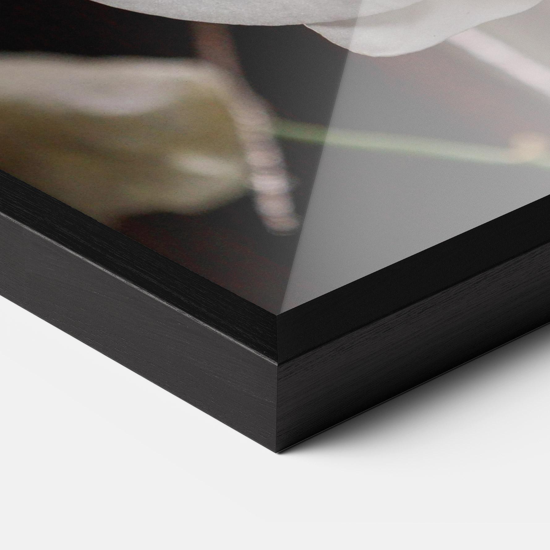 Poster Înrămat White Orchid Growing mockup 3