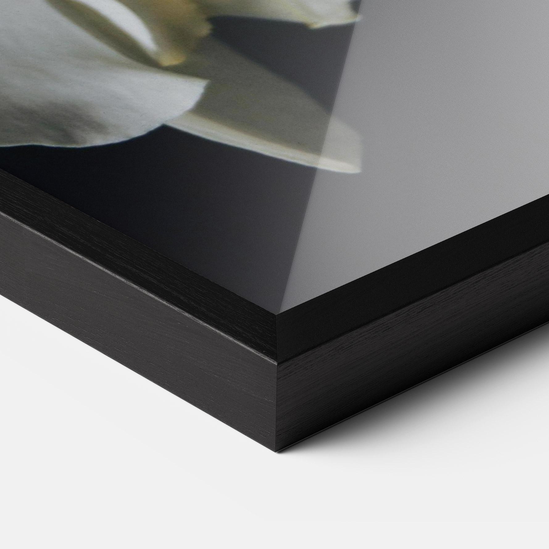 Poster Înrămat White Orchid On Black mockup 3