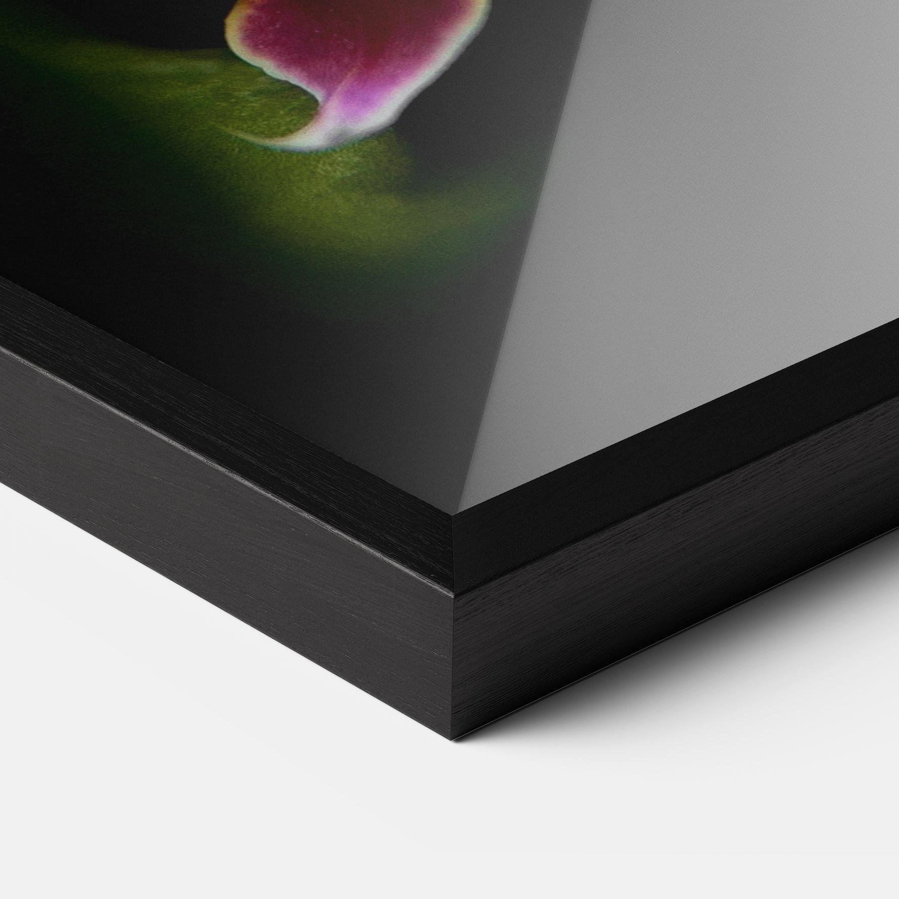 Poster Înrămat Wild White Purple Orchid mockup 3