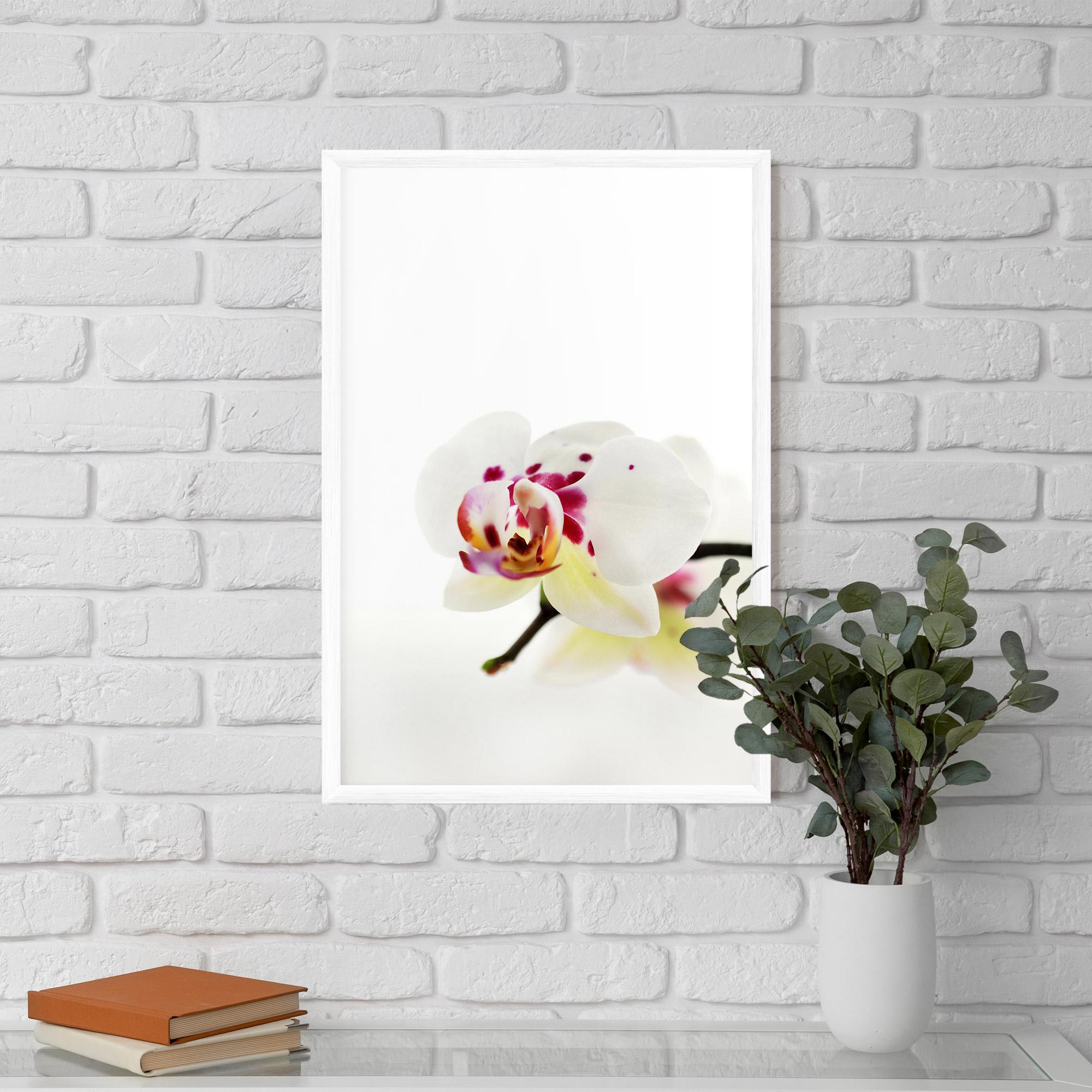 Poster Înrămat Clean White Orchid mockup 5