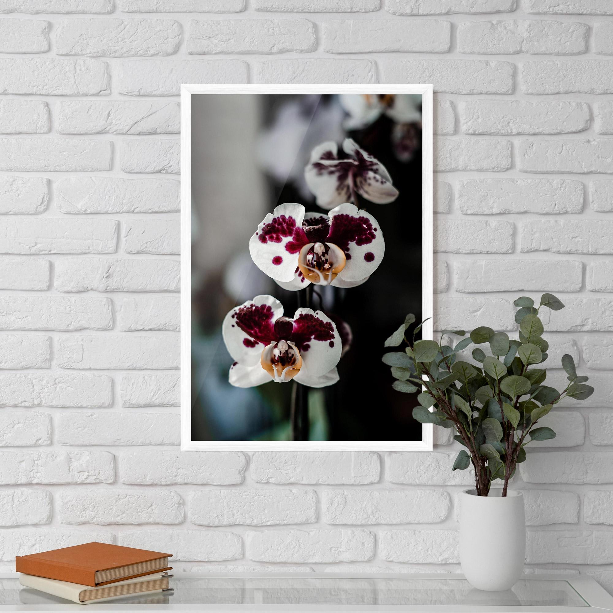 Poster Înrămat Dark Purple Orchid mockup 5